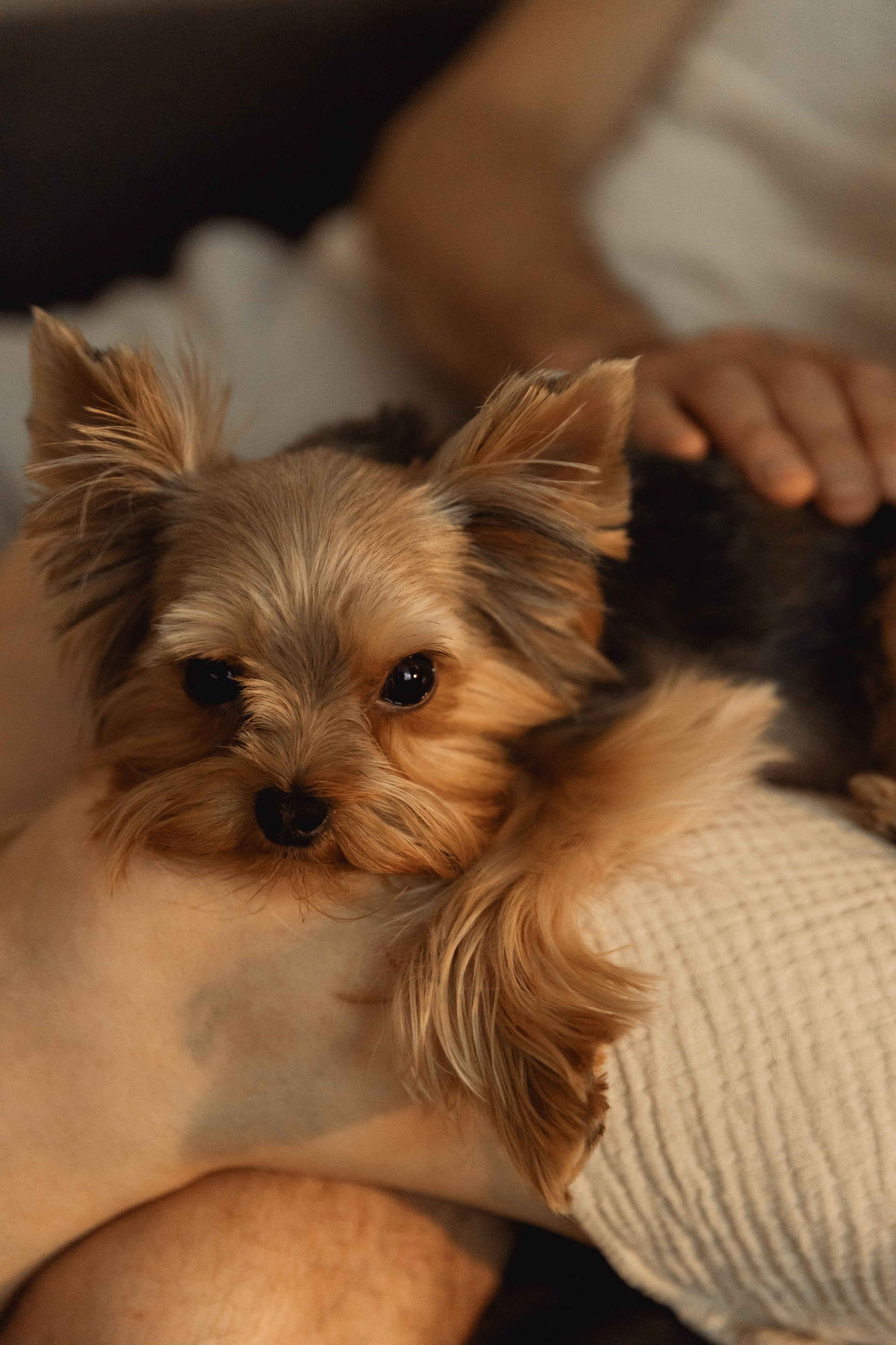 Частичка существующей жизни. Семейный и свадебный фотограф Лилия Матонина | Ангарск, Иркутск, Усолье-Сибирское, Байкал (Листвянка, Ольхон), Иркутская область