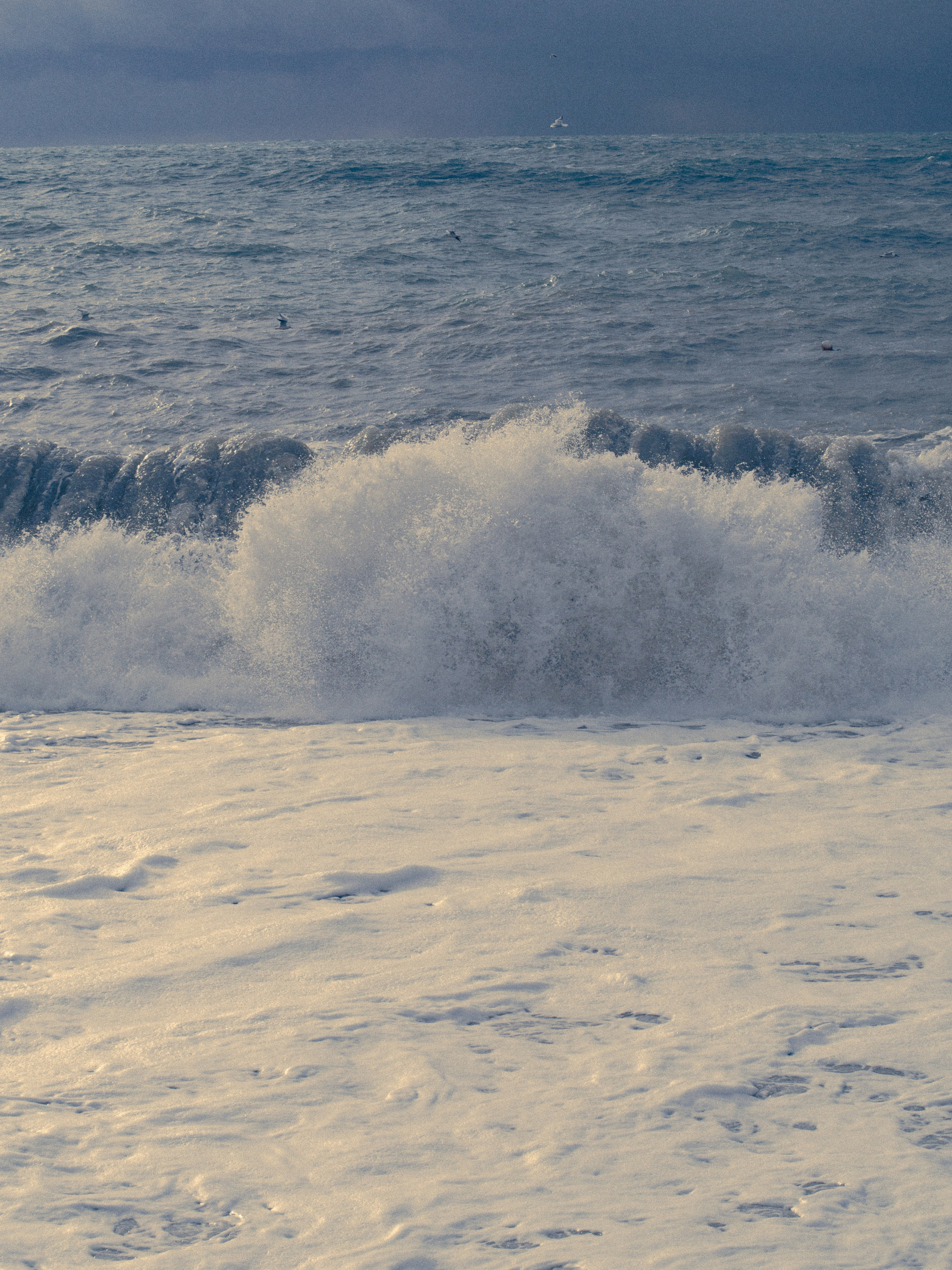 Seaside. SHILOVA PHOTO. Шилова Екатерина. Фотограф. Москва