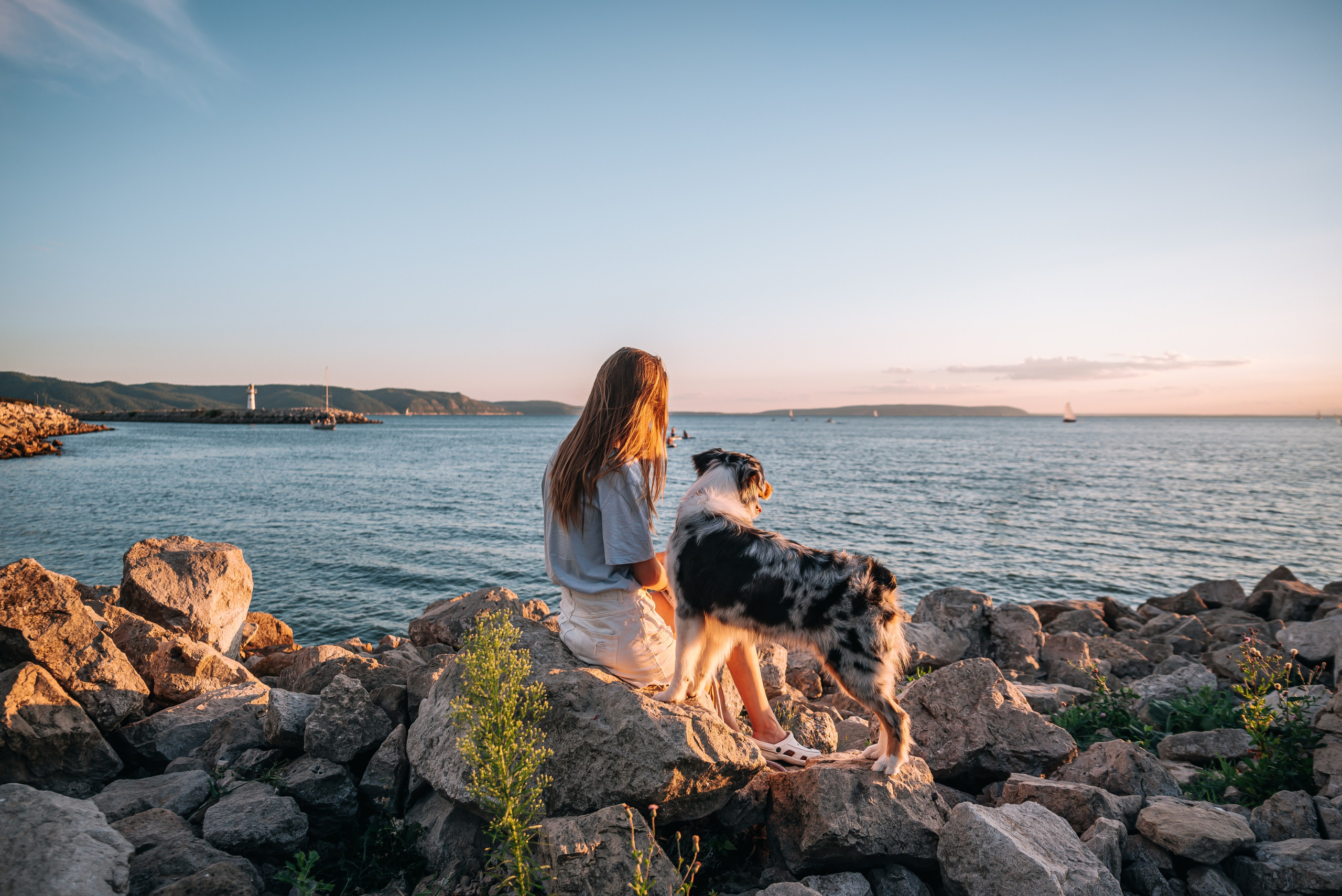 No Bad Days. Главная