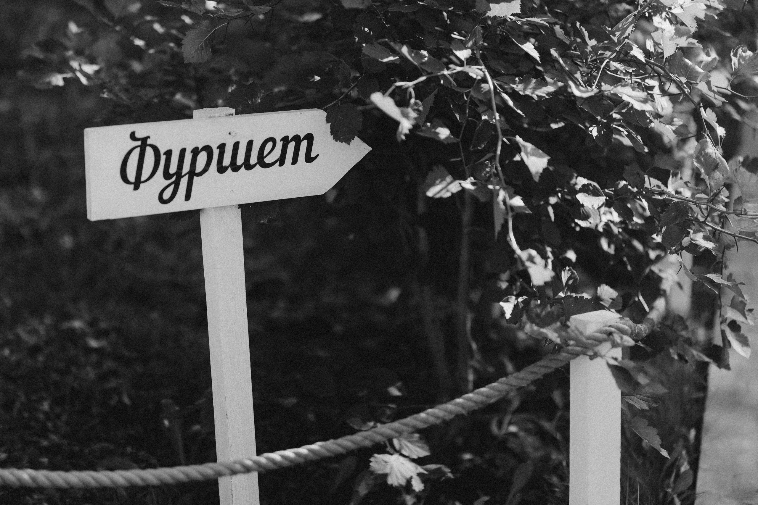 Давай до конечной?. Свадебный фотограф в Москве | Профессиональный фотограф | Выгодные цены на услуги