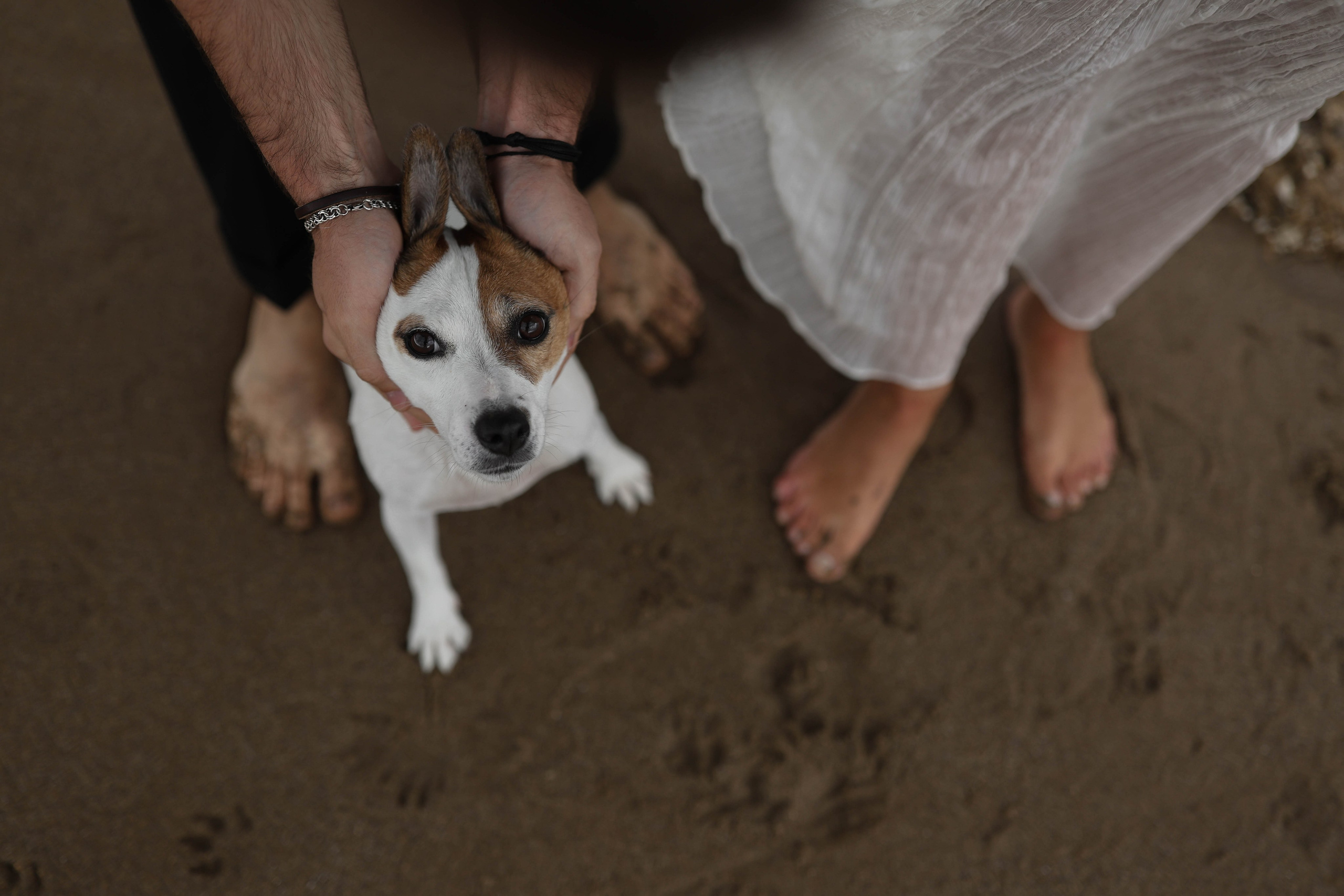 Мы и Боня. Свадебный и семейный фотограф Судак, Крым, Симферополь, Феодосия, Коктебель и по России
