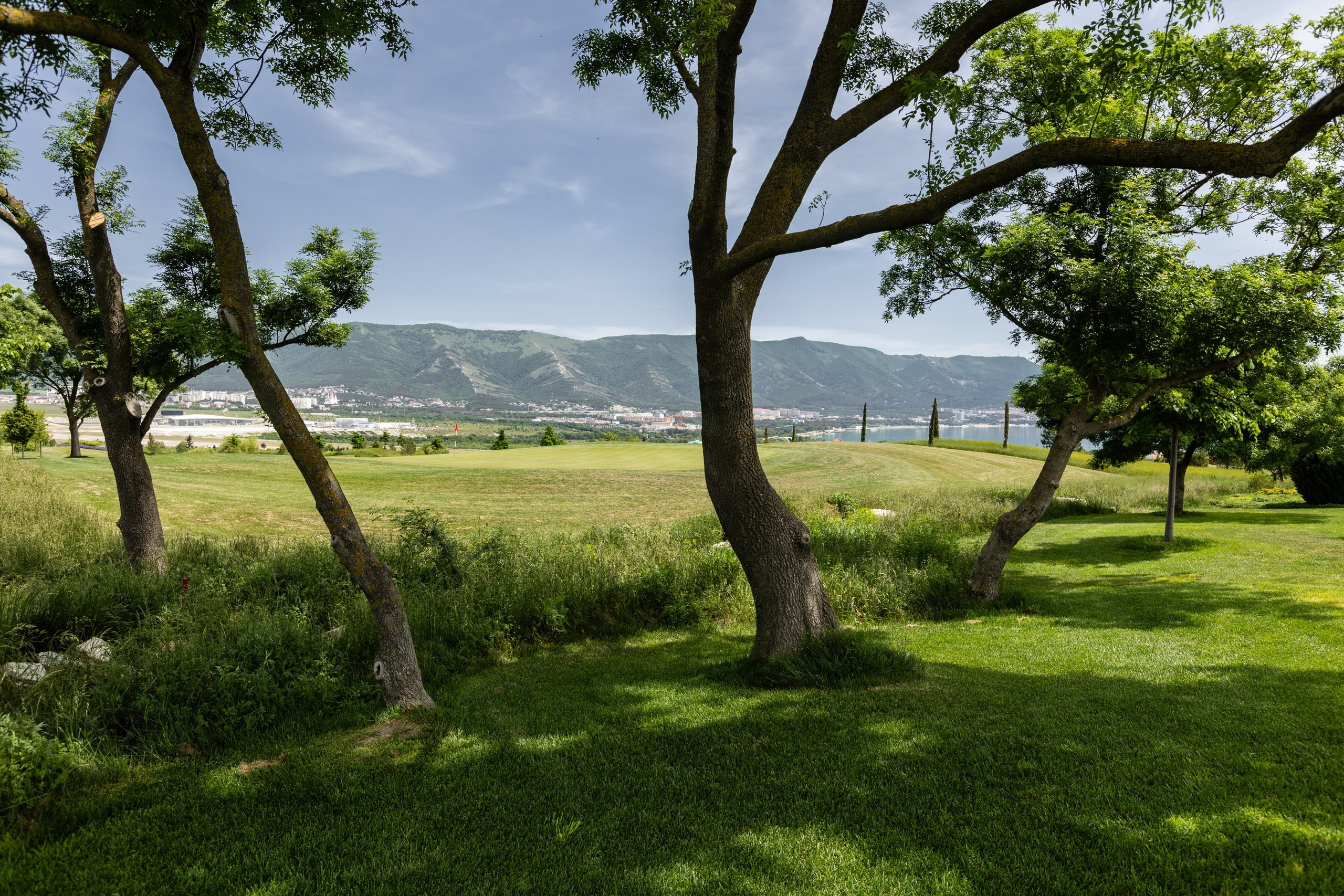 Worldwide Wedding Photography Demskoy Studio