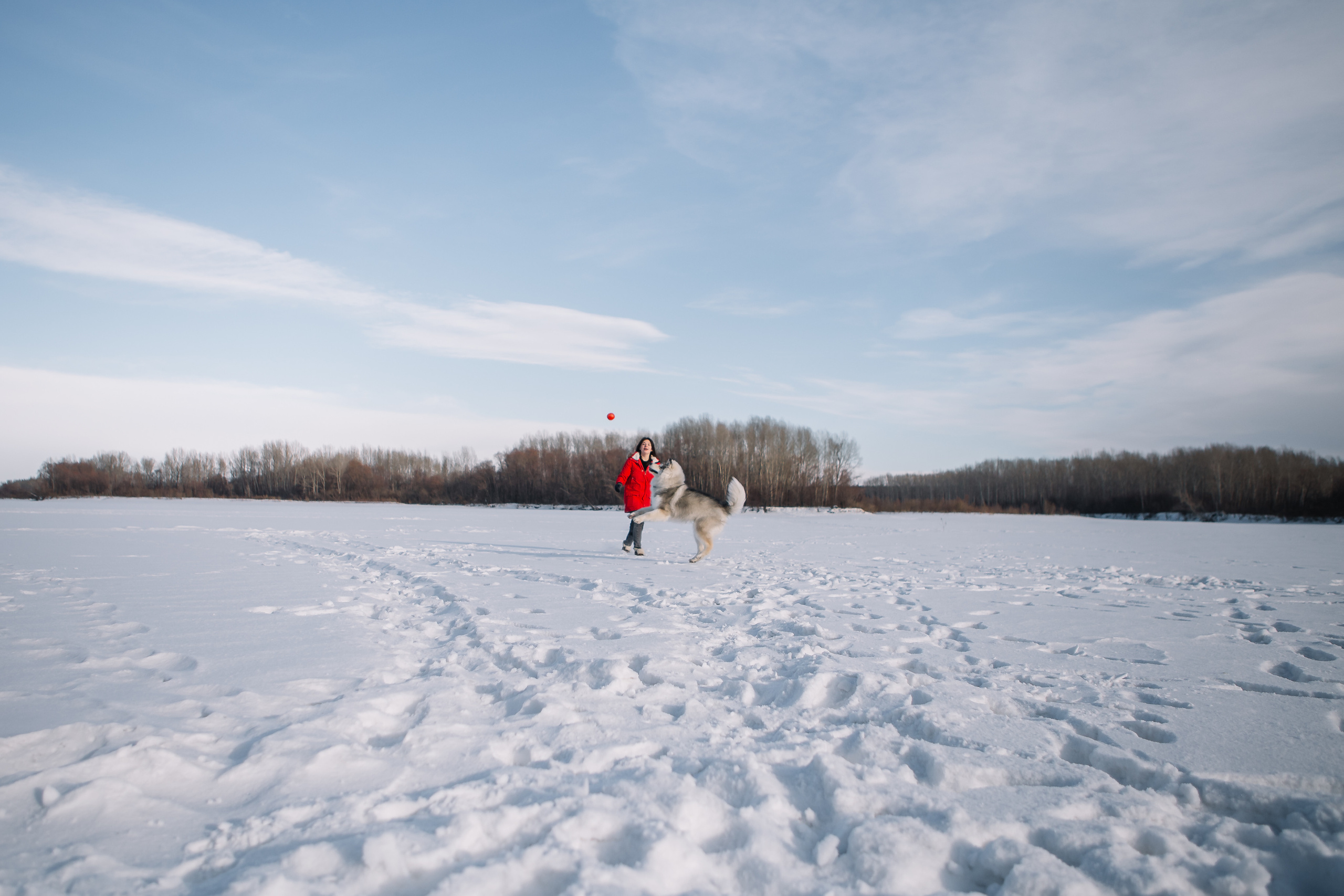 Зима фото. Дарья Белякова. Свадебный, детский и семейный фотограф в городе Бийск
