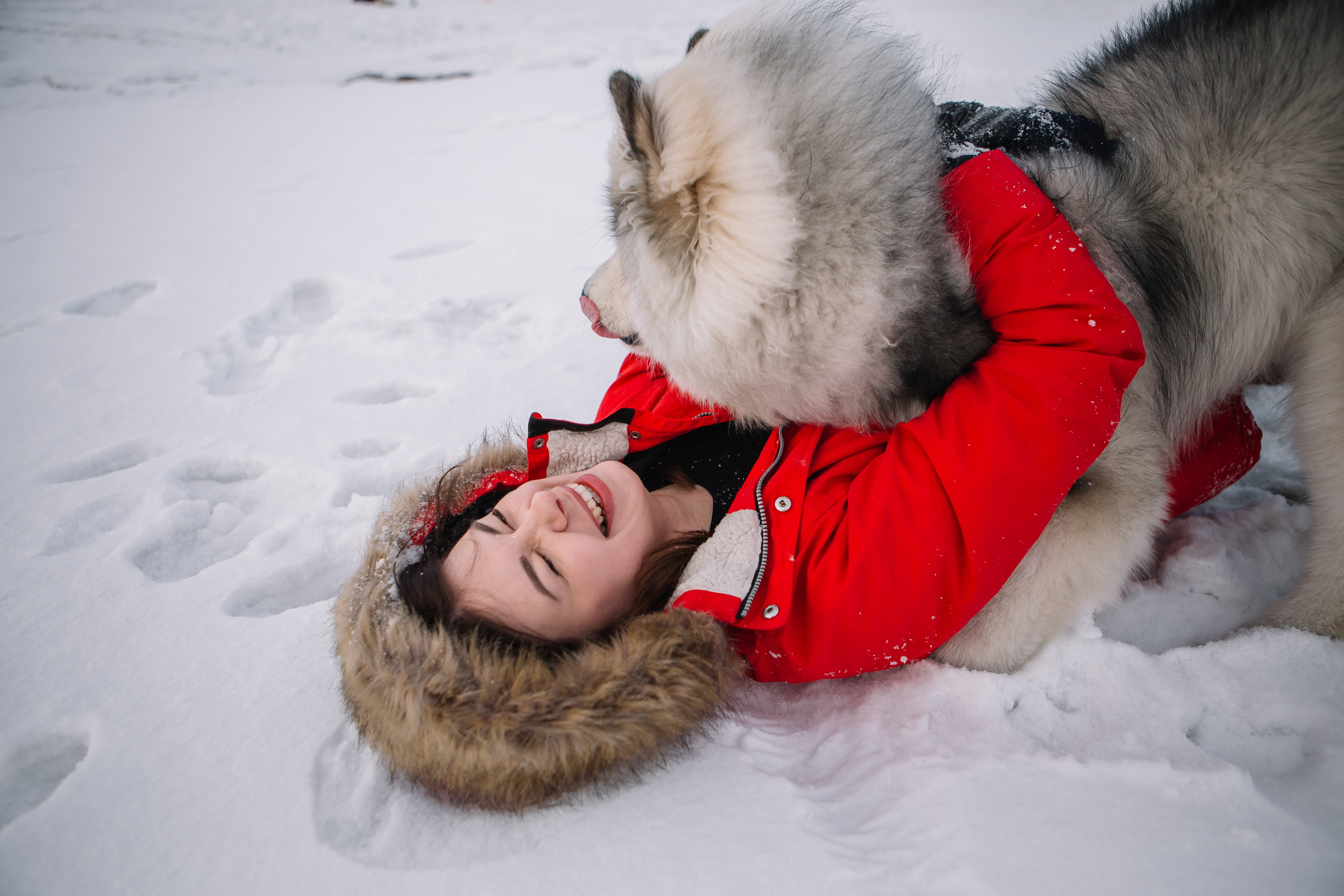 Зима фото. Дарья Белякова. Свадебный, детский и семейный фотограф в городе Бийск