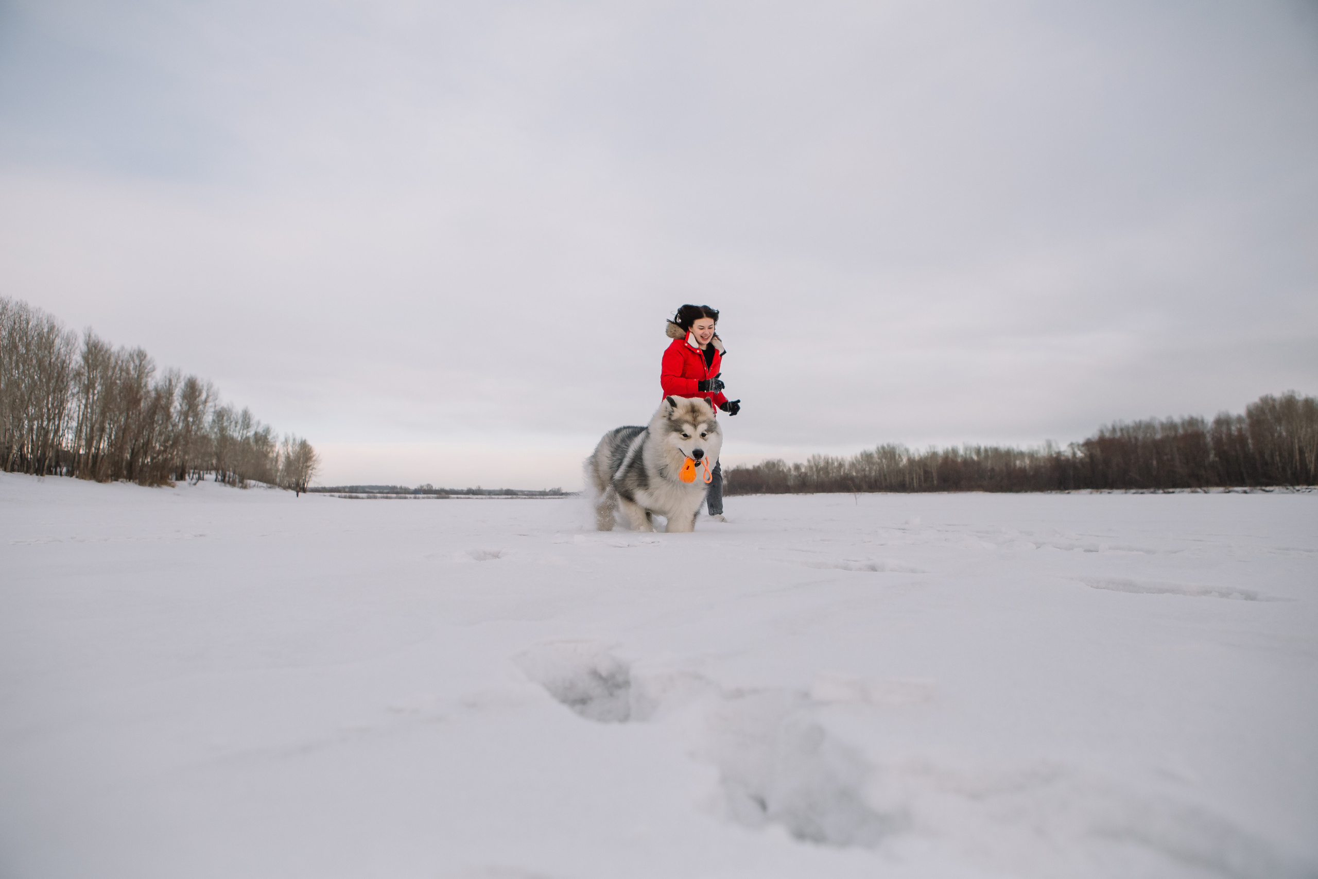 Зима фото. Дарья Белякова. Свадебный, детский и семейный фотограф в городе Бийск