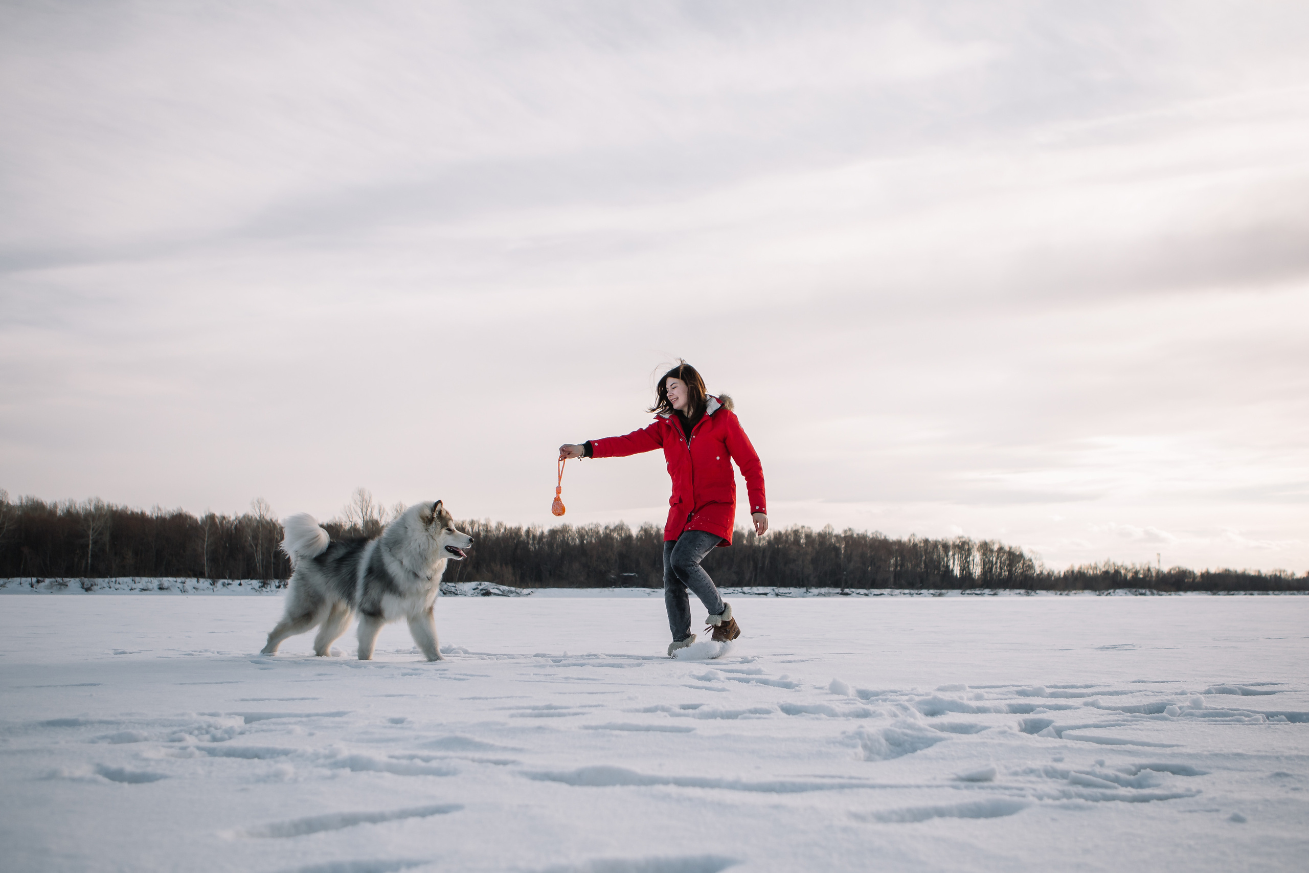 Зима фото. Дарья Белякова. Свадебный, детский и семейный фотограф в городе Бийск