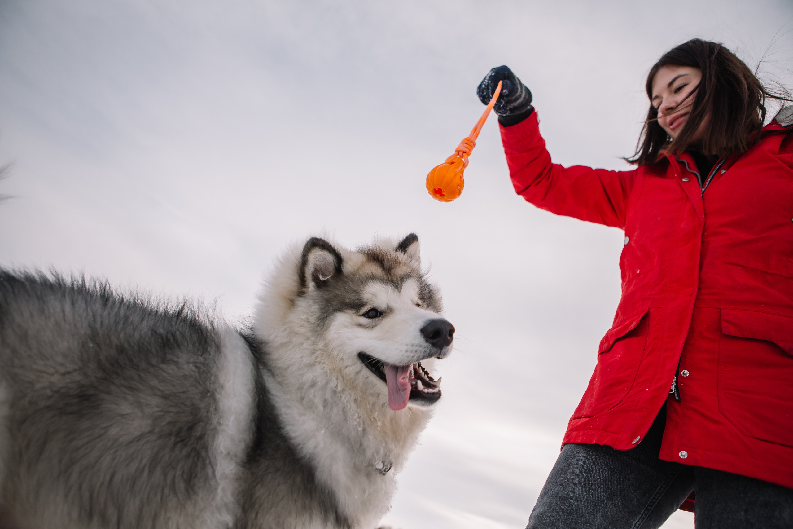 Зима фото. Дарья Белякова. Свадебный, детский и семейный фотограф в городе Бийск