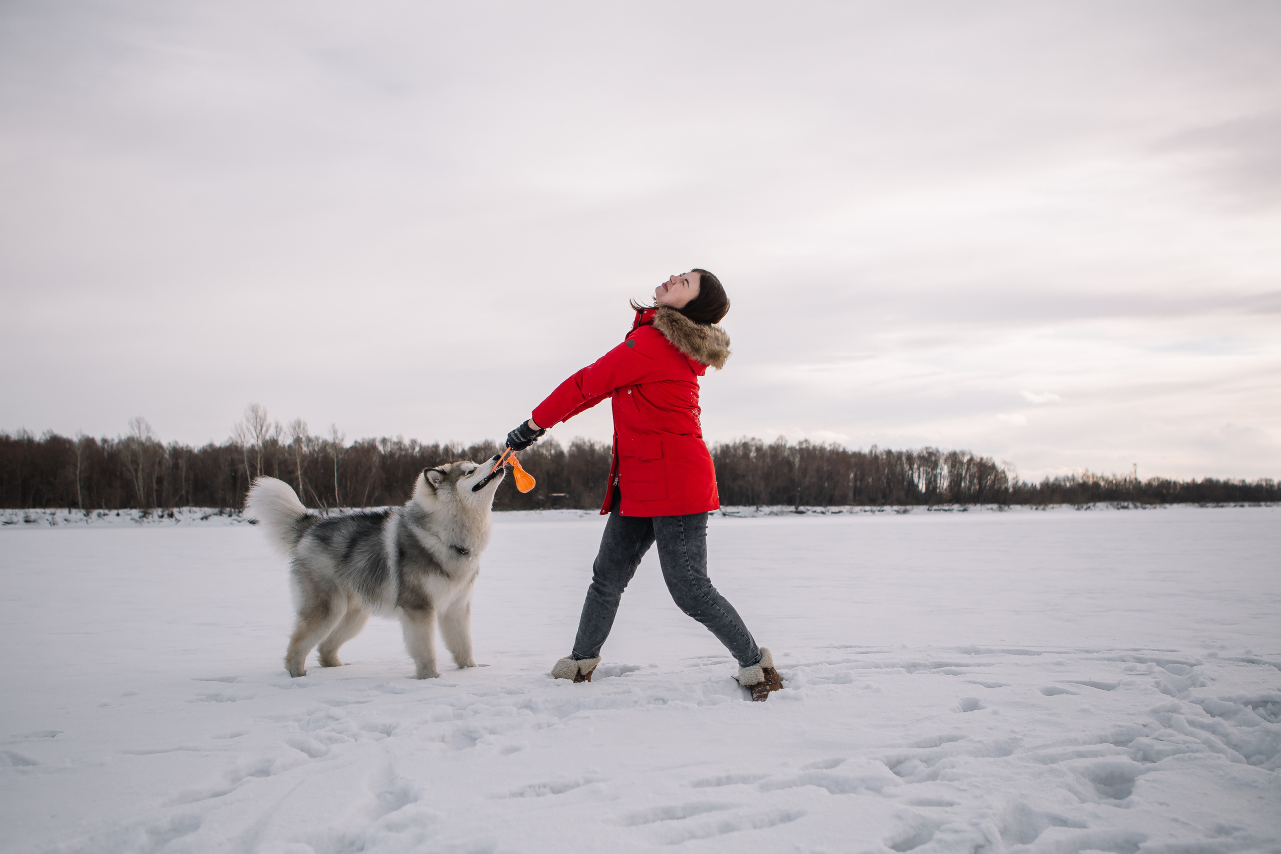 Зима фото. Дарья Белякова. Свадебный, детский и семейный фотограф в городе Бийск