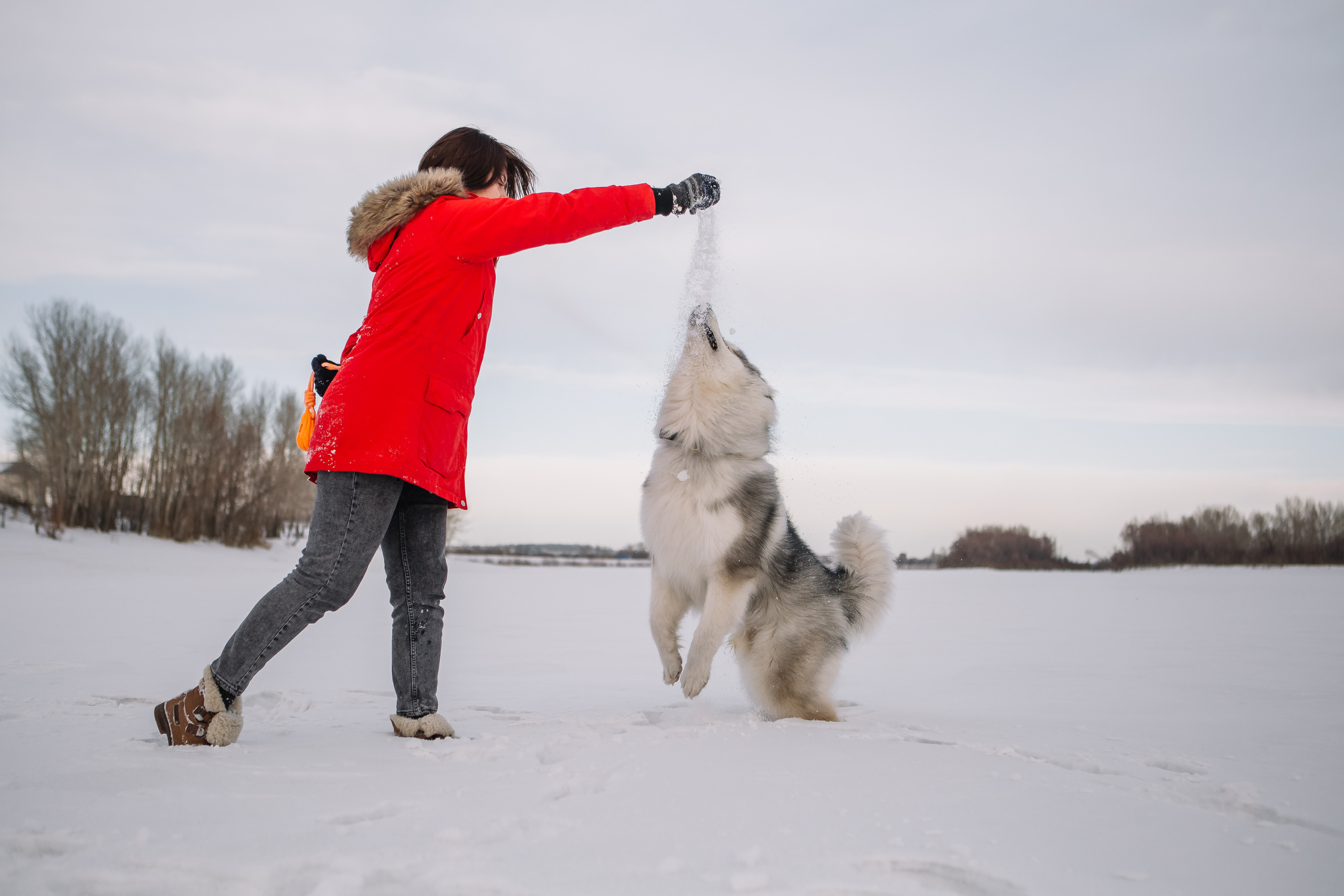 Зима фото. Дарья Белякова. Свадебный, детский и семейный фотограф в городе Бийск