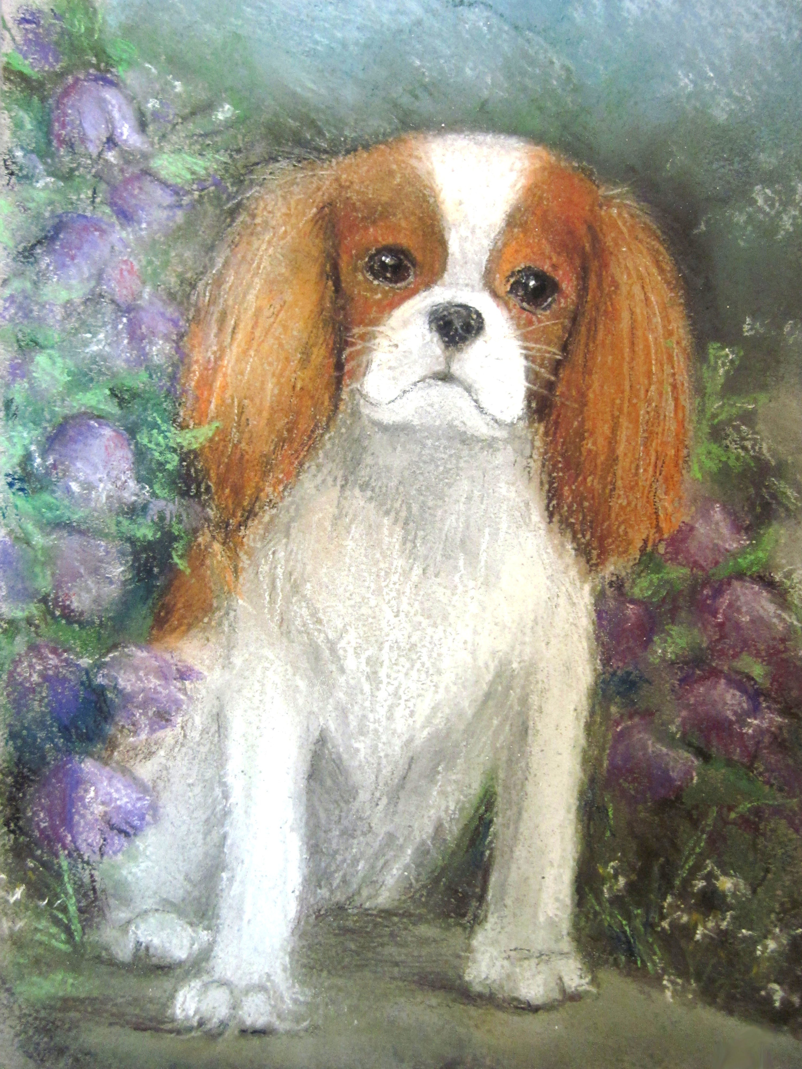 "Кокер-спаниель", пастель, 2012