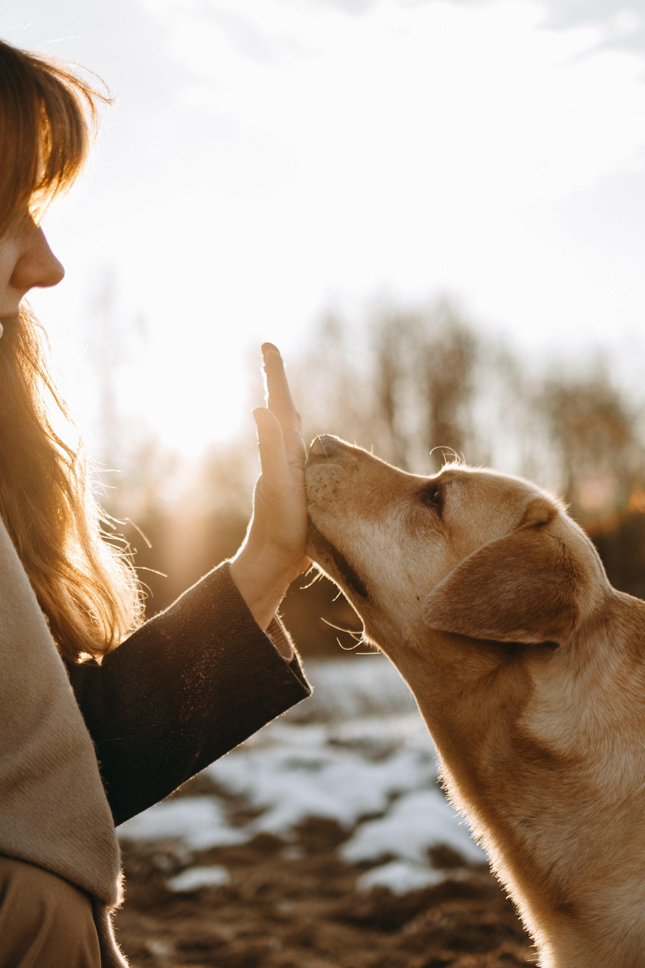 Ирина и Бася. Фотограф — Анималист | Санкт-Петербург