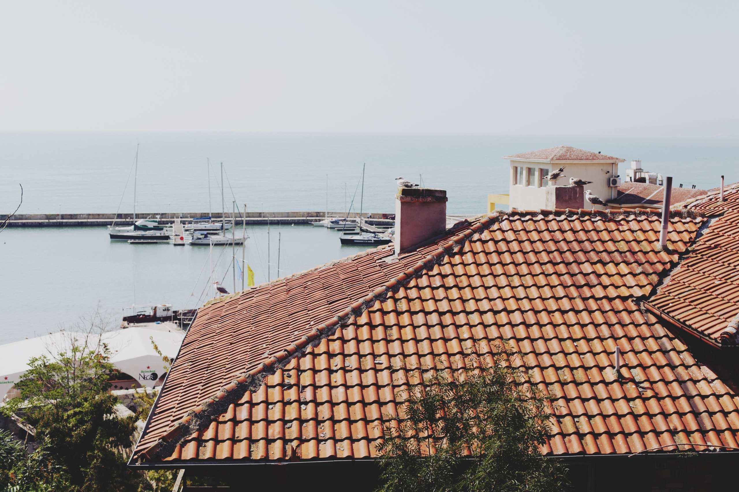 Болгария. Аня Степанова