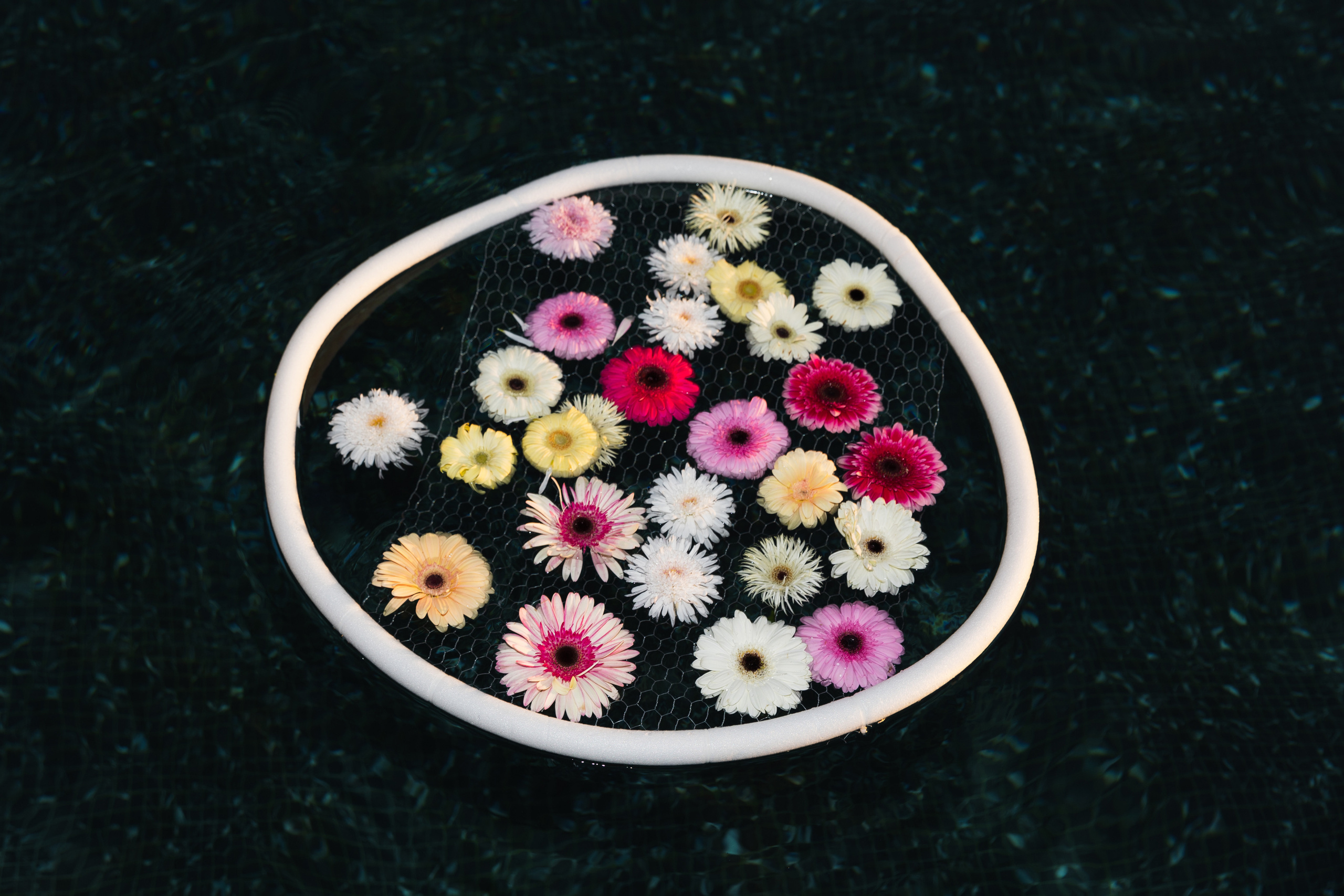 Сочи. Фотограф в Краснодаре Татьяна Безугляк