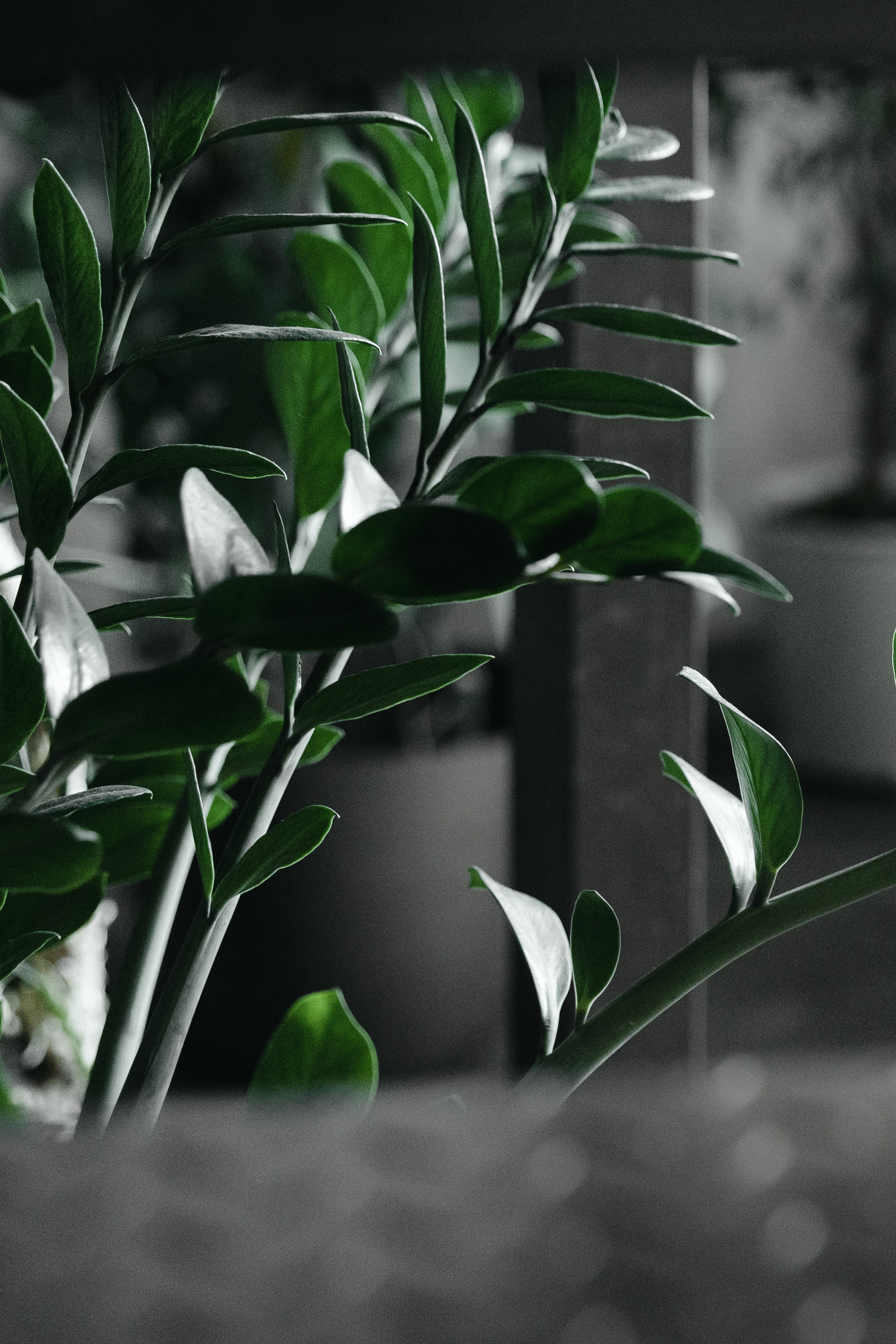 Маленькое чудо. Фотограф в Краснодаре Татьяна Безугляк