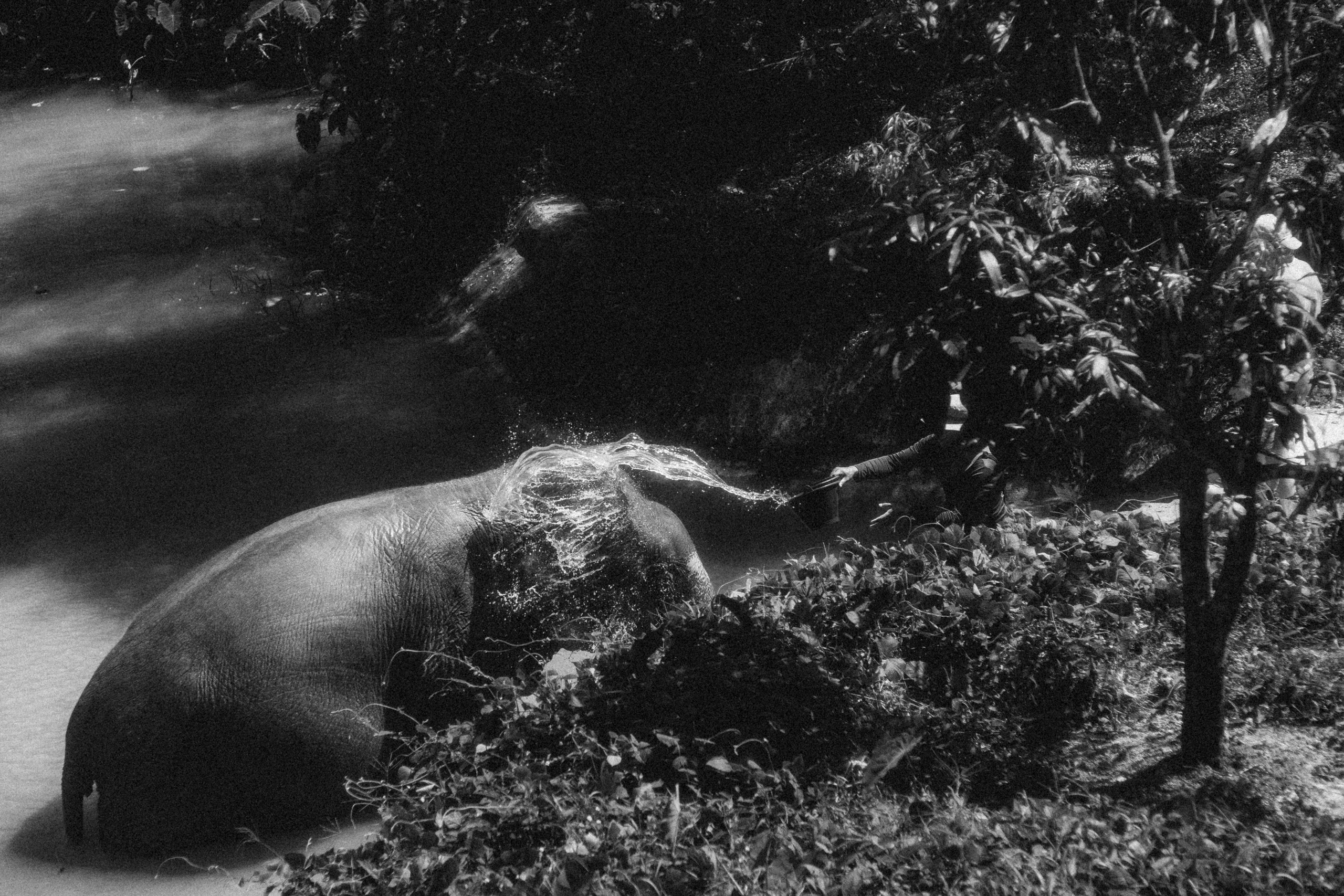 Жизнь. Игорь Гичка. Портрет с любовью