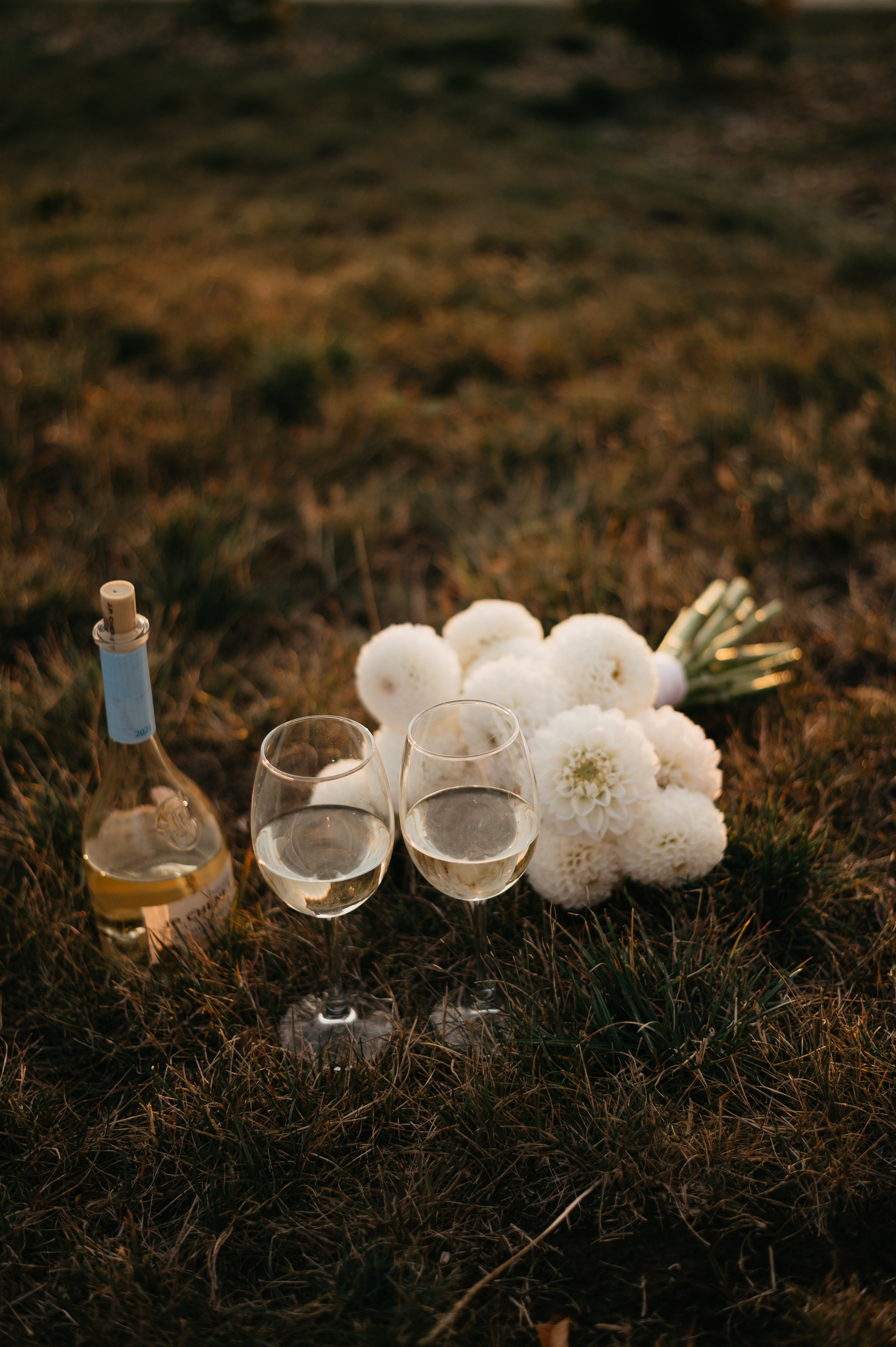 Даниил и Женя. Свадебный фотограф Марина Жемчужникова в Москве и в Белгороде