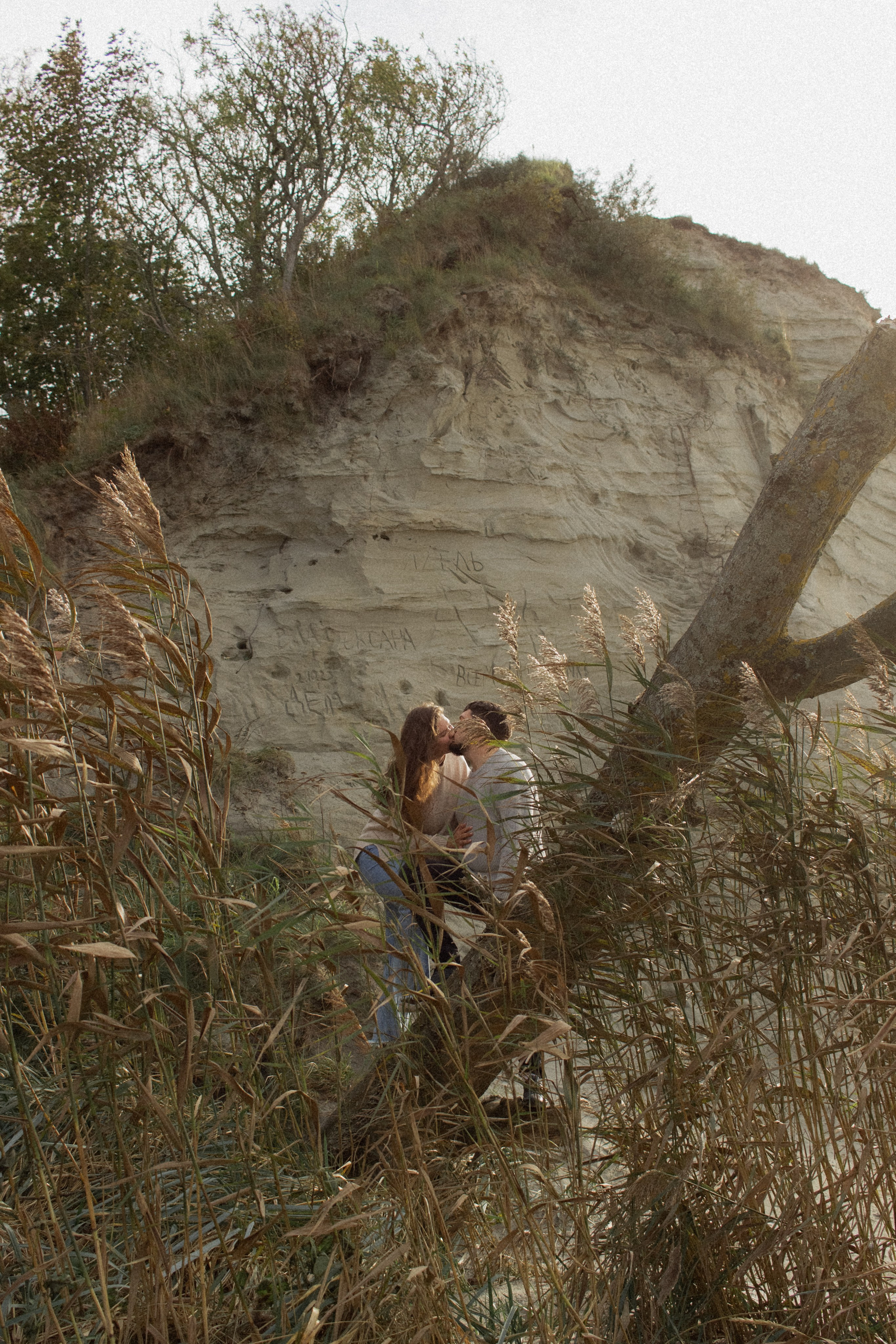 Влюбленная пара целуется, сидя на дереве