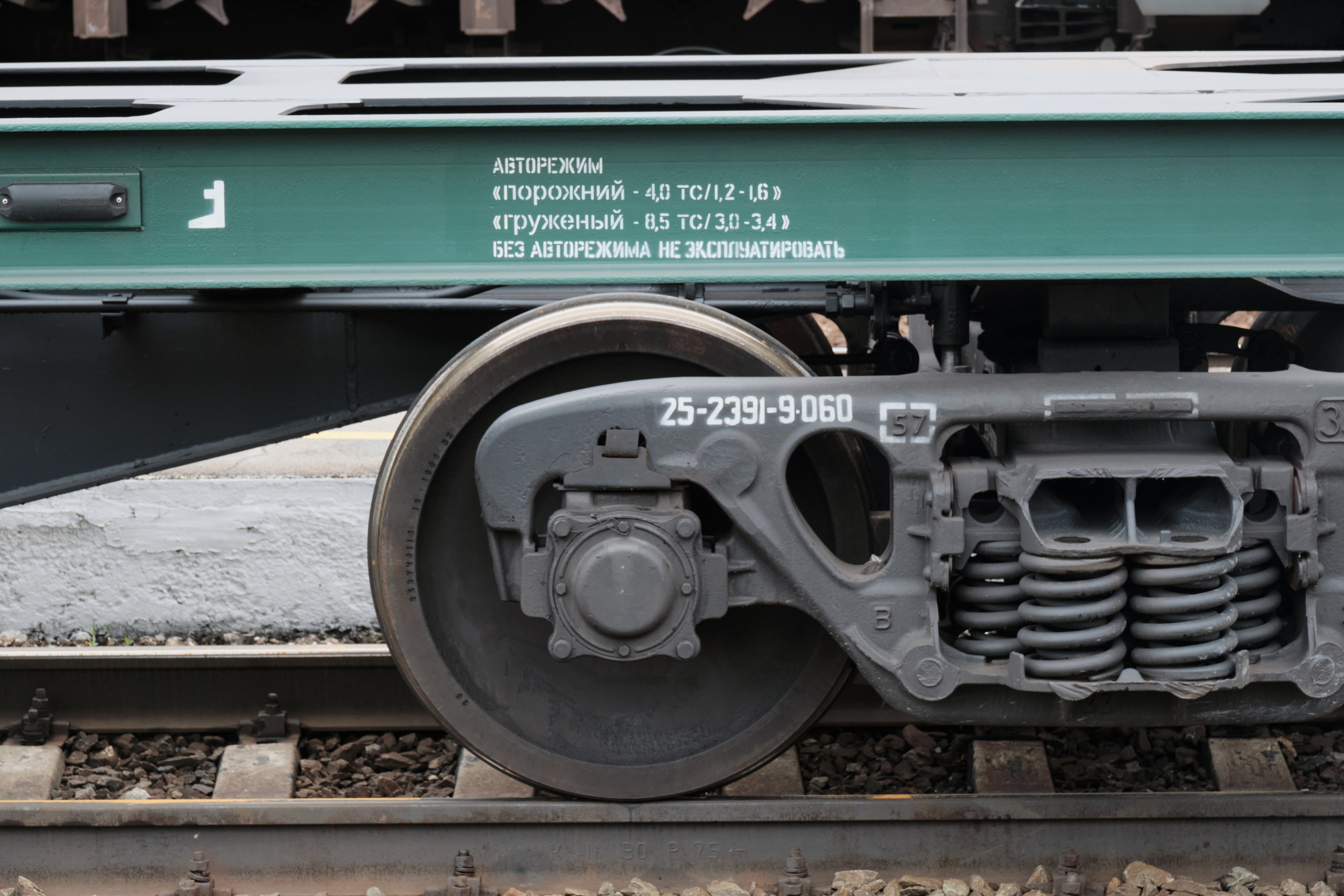 Академ-городок и ботанический сад. Goncharov Tim