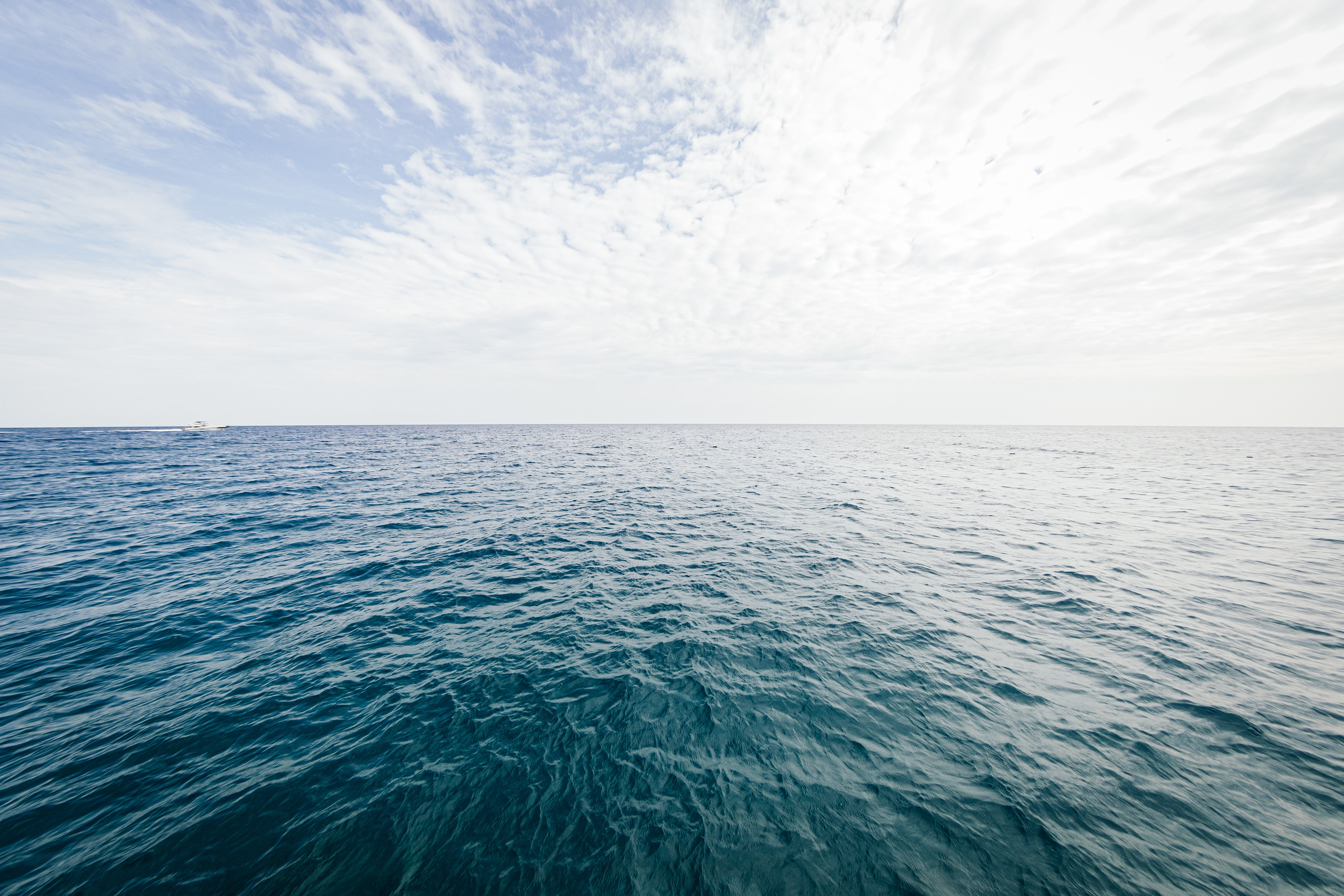 Обзор самого дорогого отеля в Турции «Maxx Royal Kemer Resort». Ева Демидова. Спортсмен по конкуру в Санкт-Петербуре