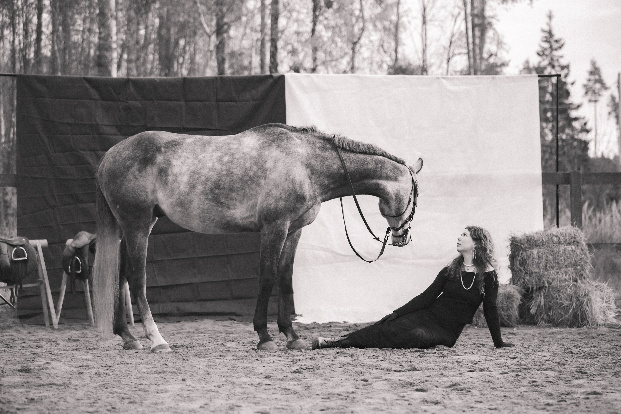 Проект DEFILE. Конный фотограф в Санкт-Петербурге Анна Лебедева