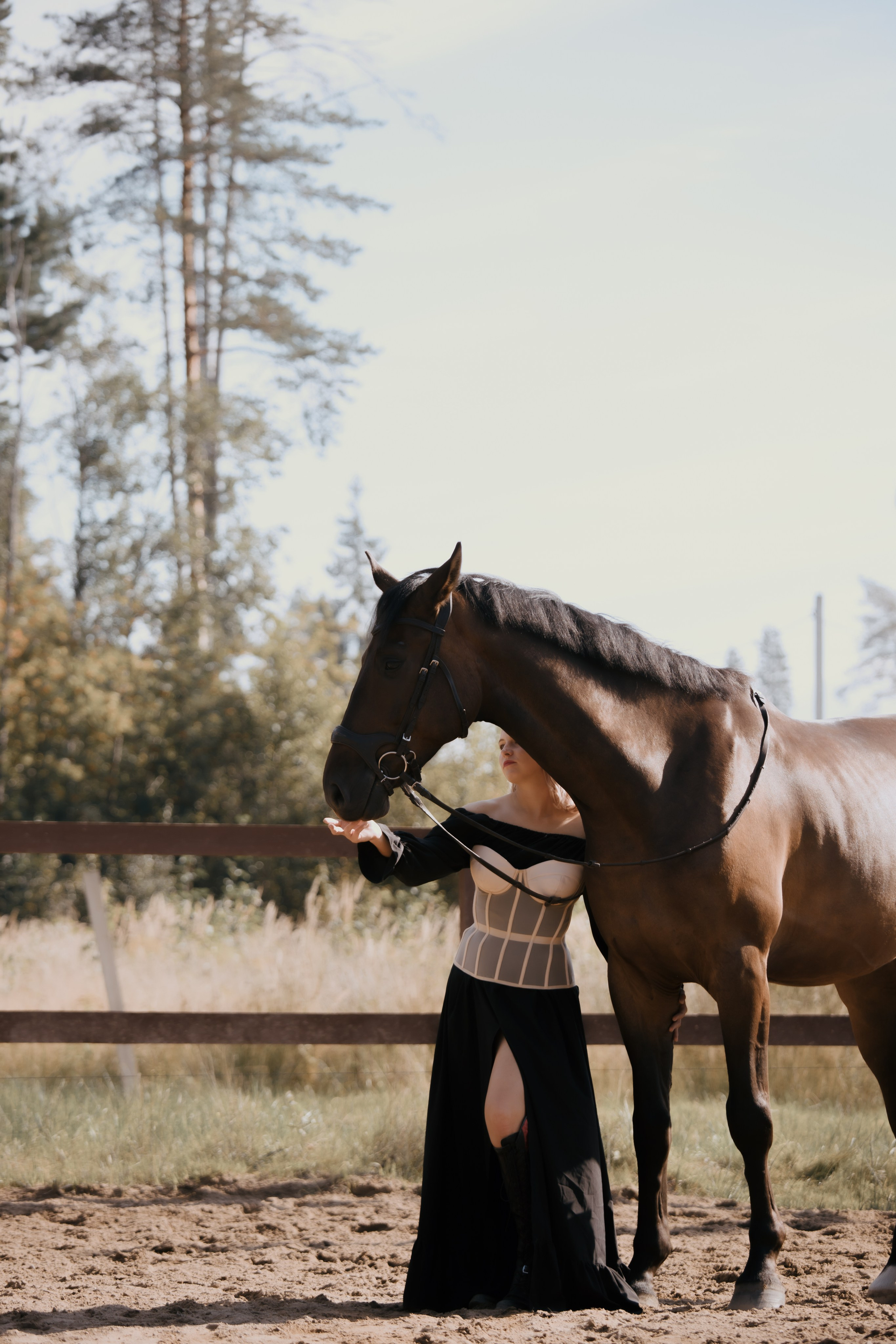 Ход Конем. Конный фотограф в Санкт-Петербурге Анна Лебедева