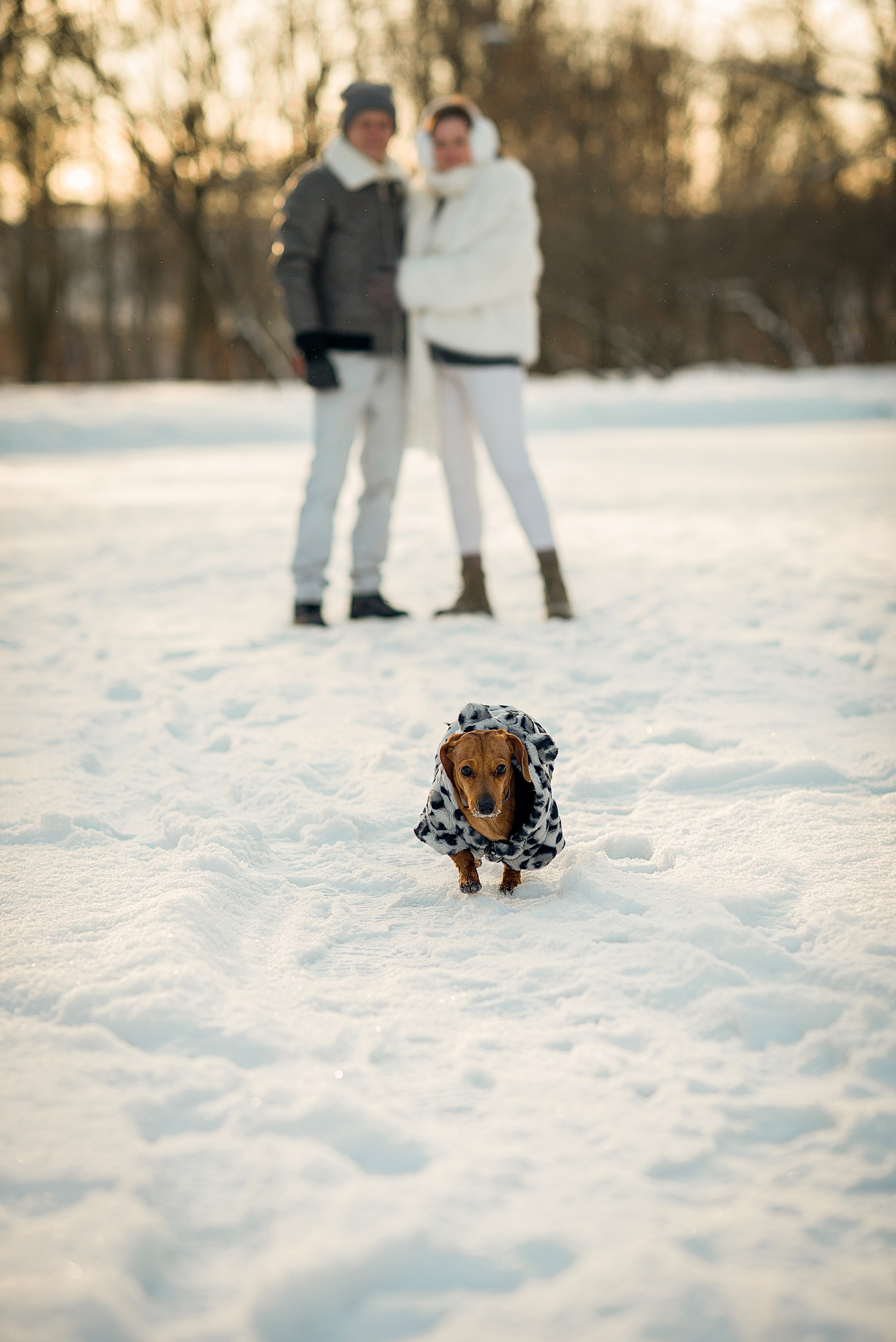 Таня, Антон и Мира. Фотограф в Санкт-Петербурге Катя Прудникова