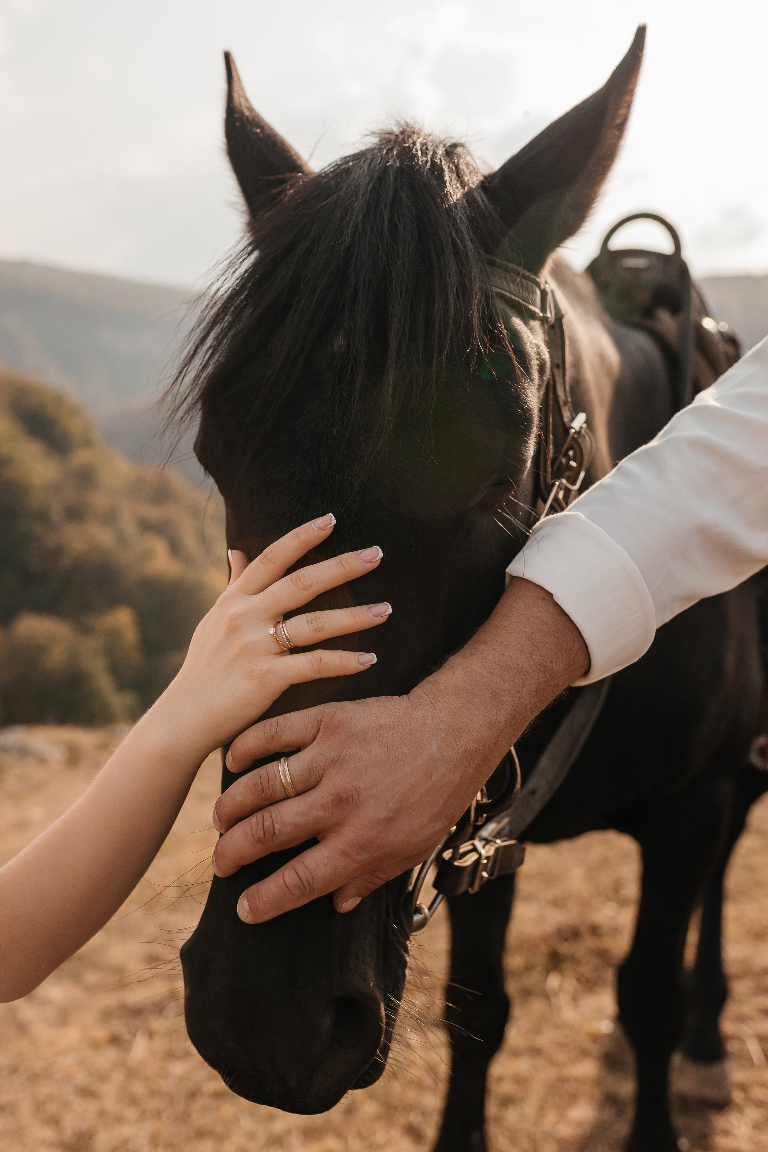 Кристина и Андрей|Wedding love story. Свадебный фотограф в Ростове-на-Дону и Азове Малявка Анастасия