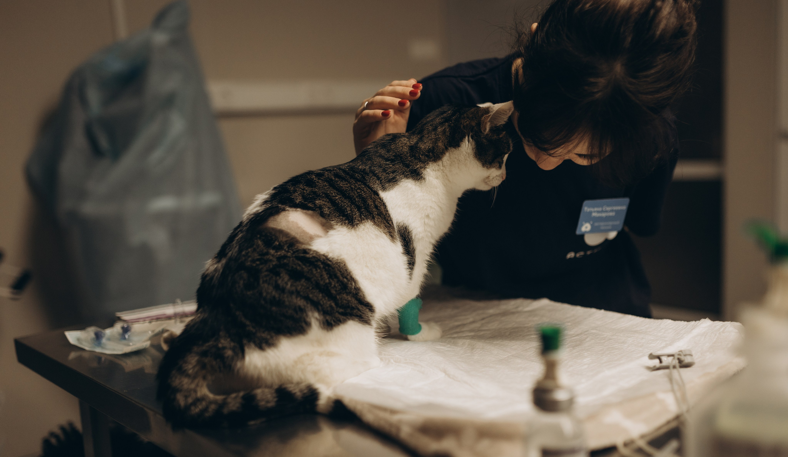 VetLife. Татьяна Афонина | Фотограф