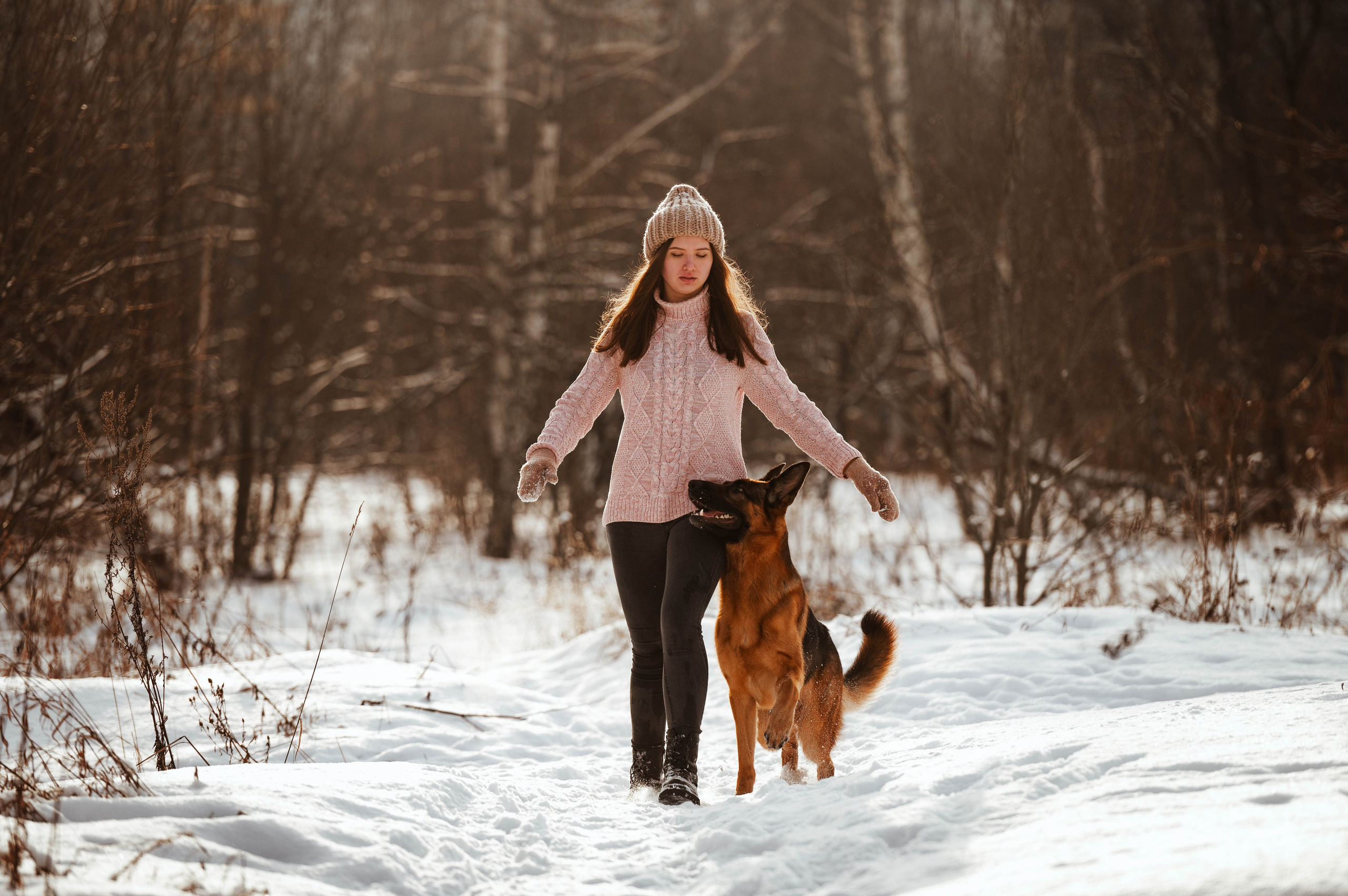 Вольт. Фотограф-анималист