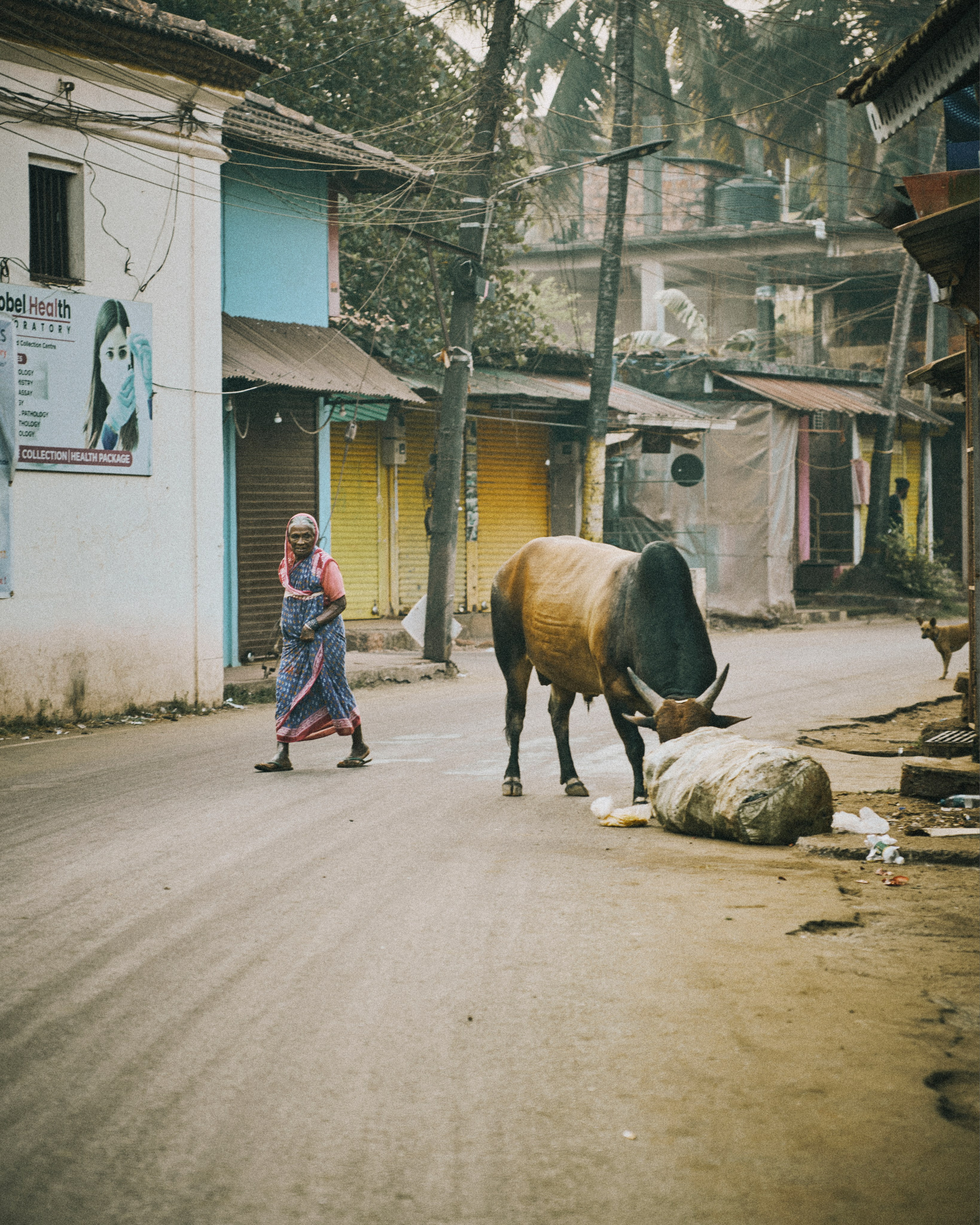 Индия. Портретный фотограф в Москве Колосова Екатерина