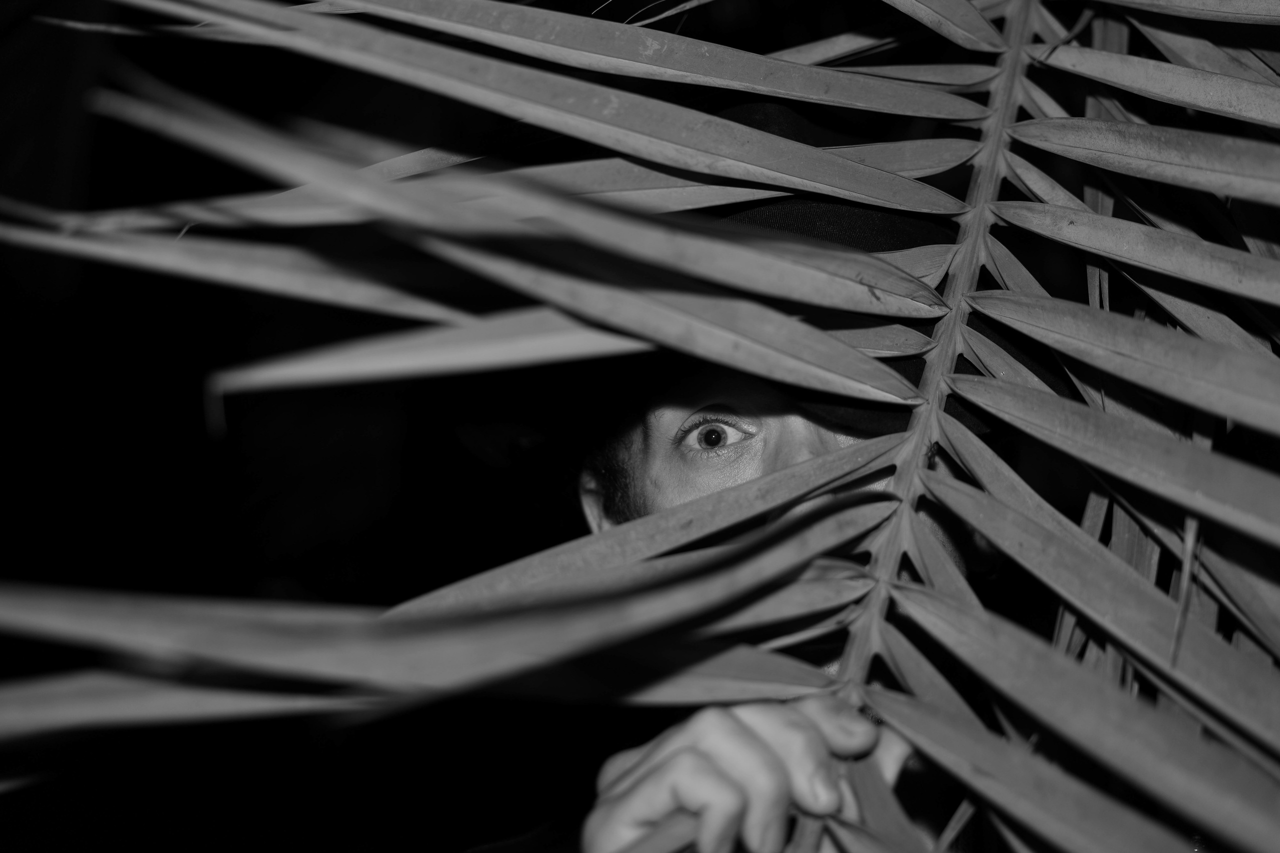 Ян. Фотограф Михаил Олейник