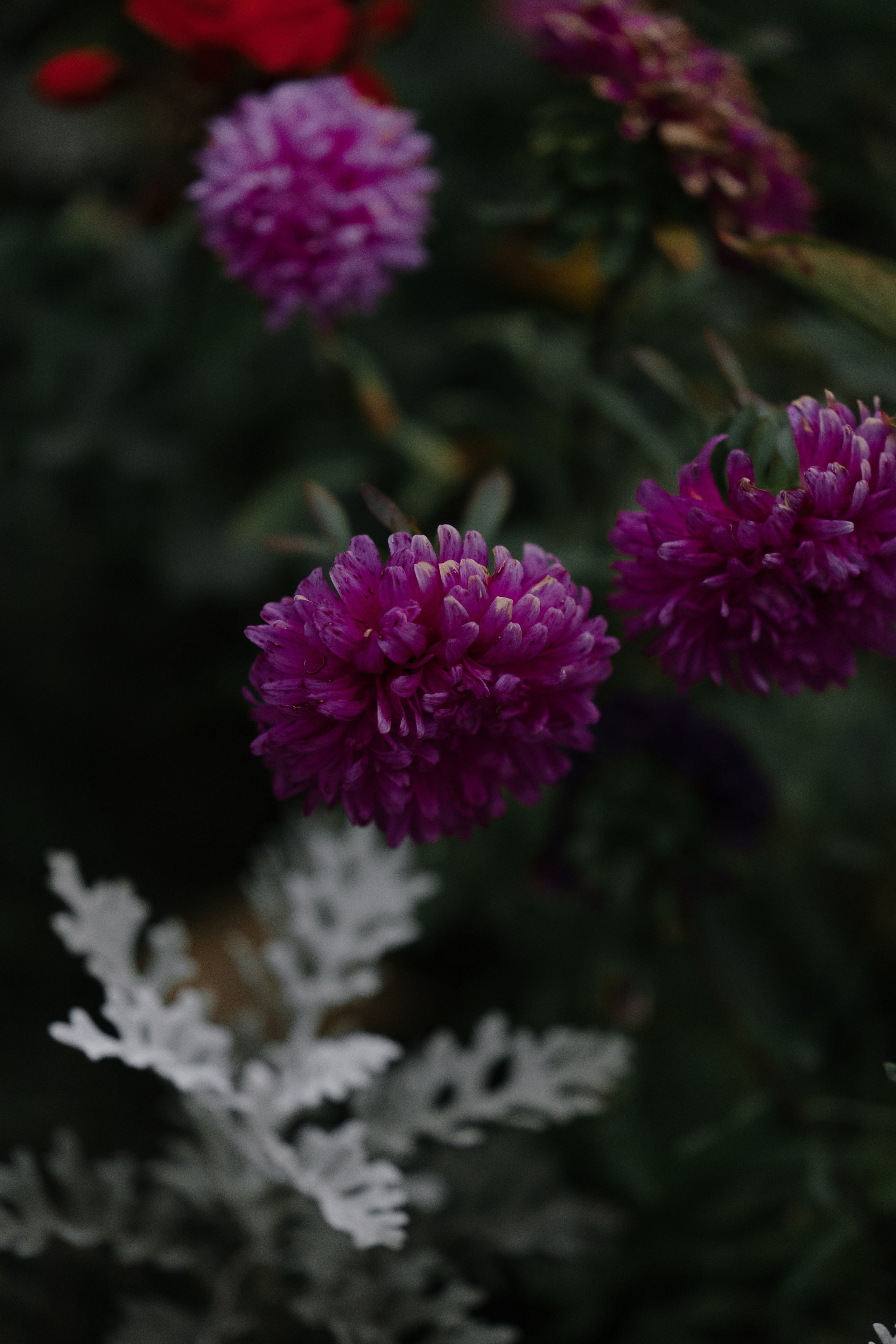 «Дом — там, где ты». Свадебный фотограф Москва