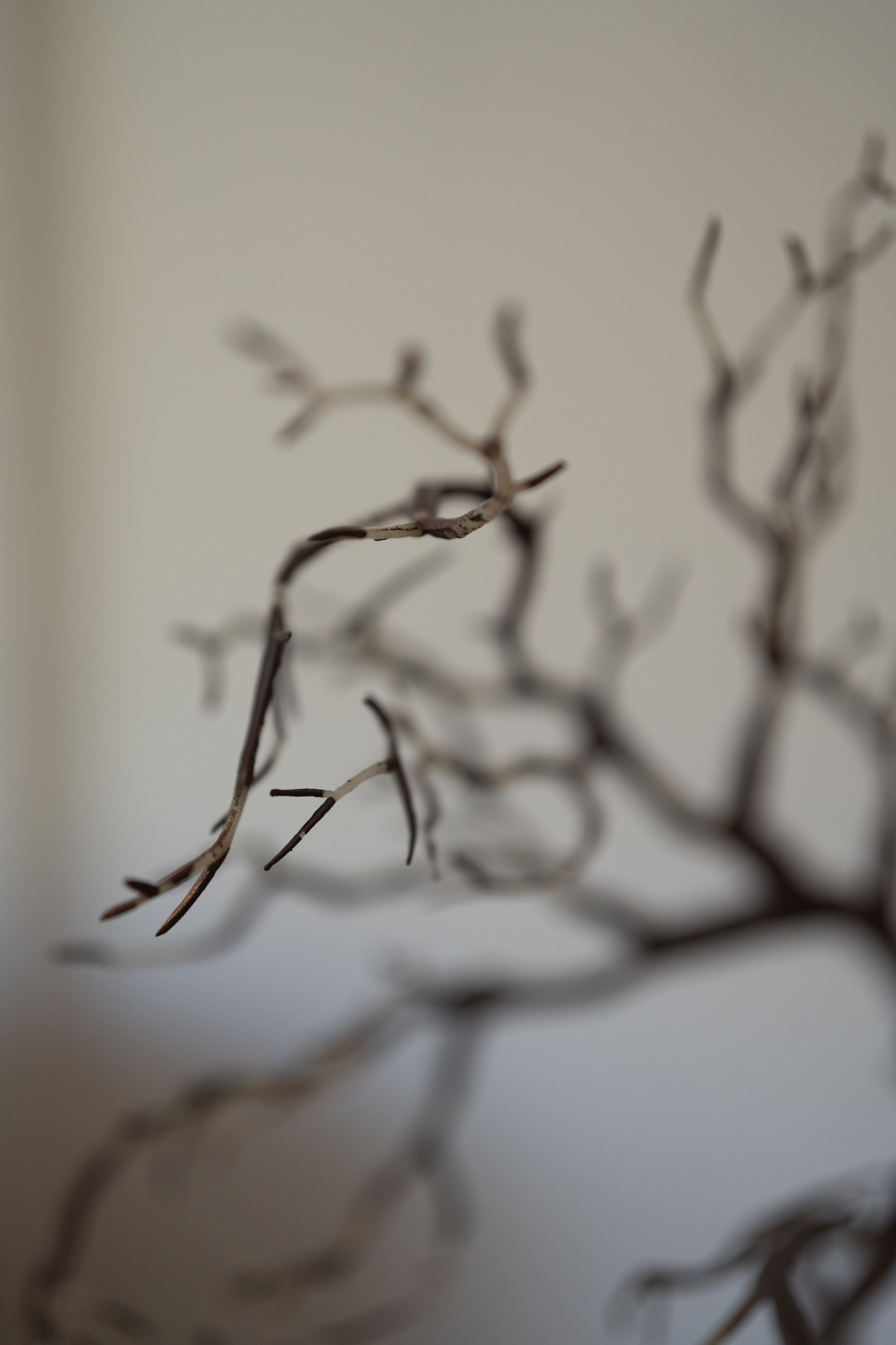 Ольга. Фотограф в Москве Мария Терентьева