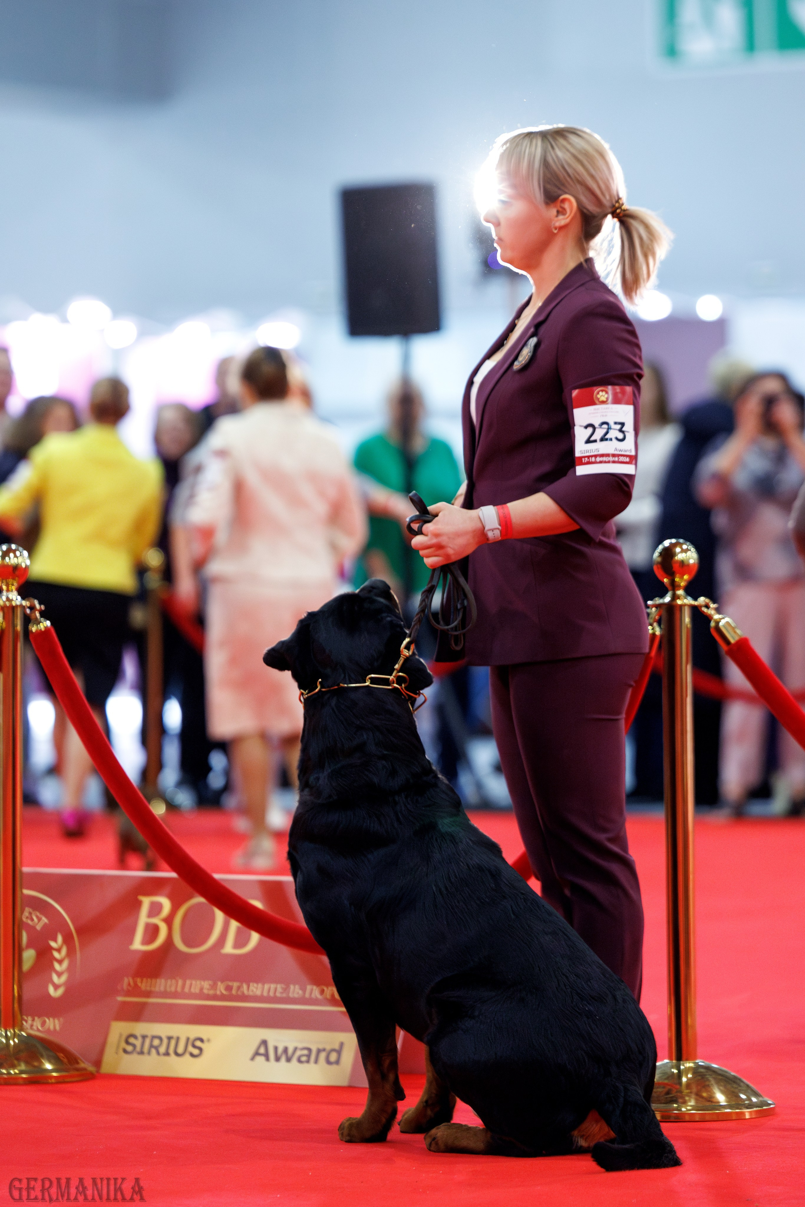 Лучшие Собаки России 17-18.02.2024. Фотограф-анималист Юлия Германика