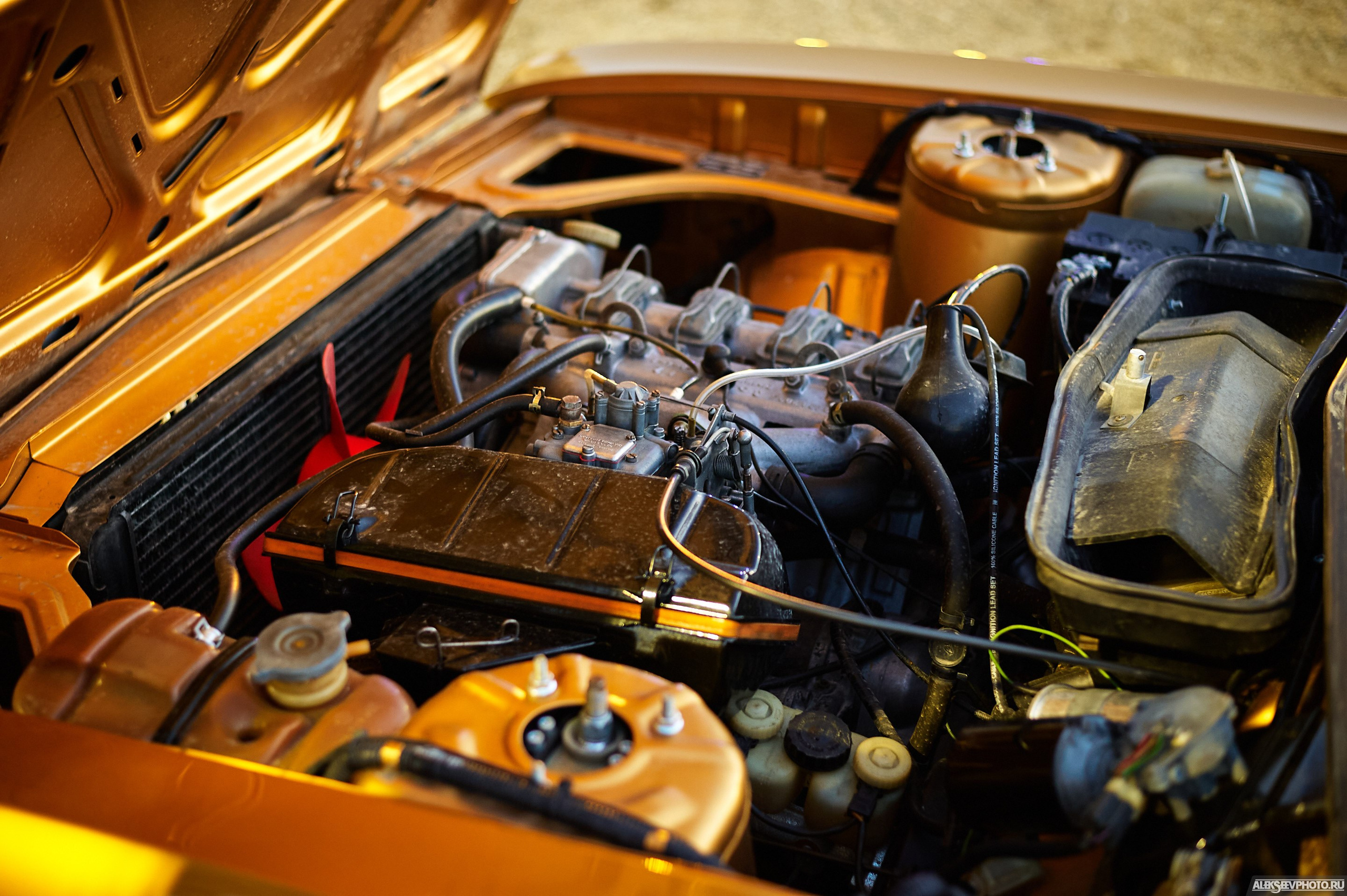 Tsunami Picnic 2020 — expo. Фотограф Алексей Алексеев