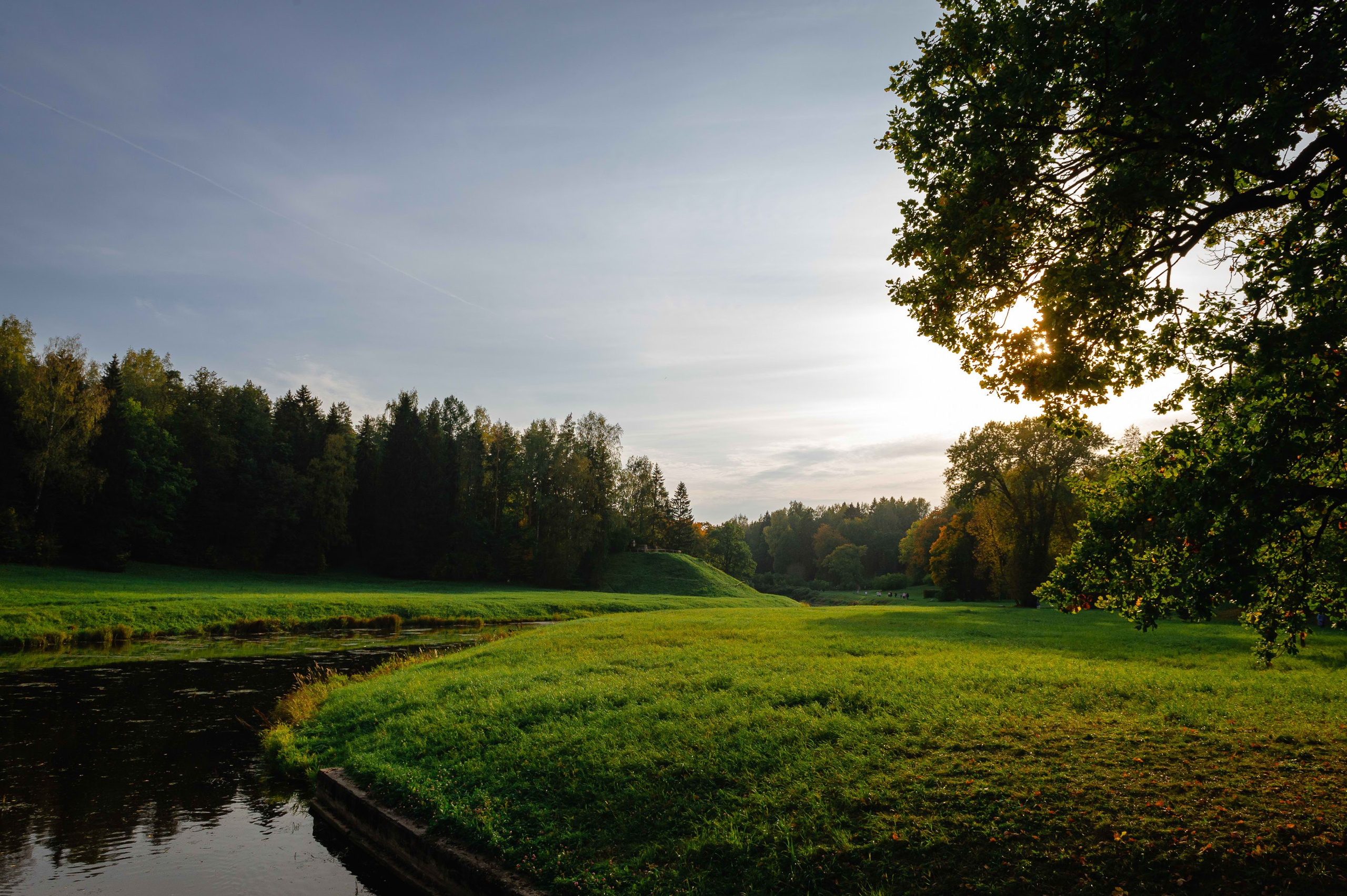 2023.09. Фотограф Алексей Алексеев