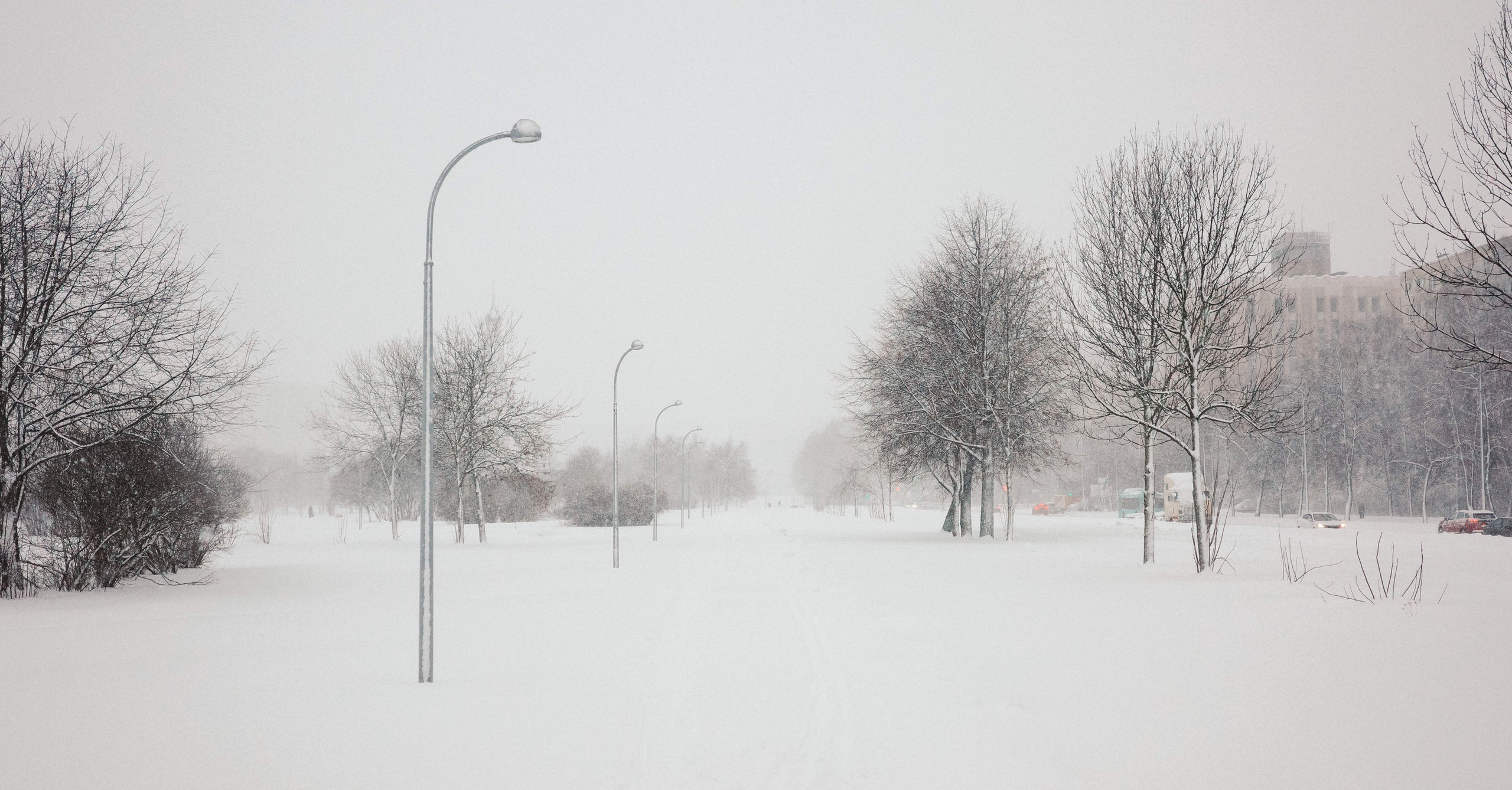 2025.01. Фотограф Алексей Алексеев