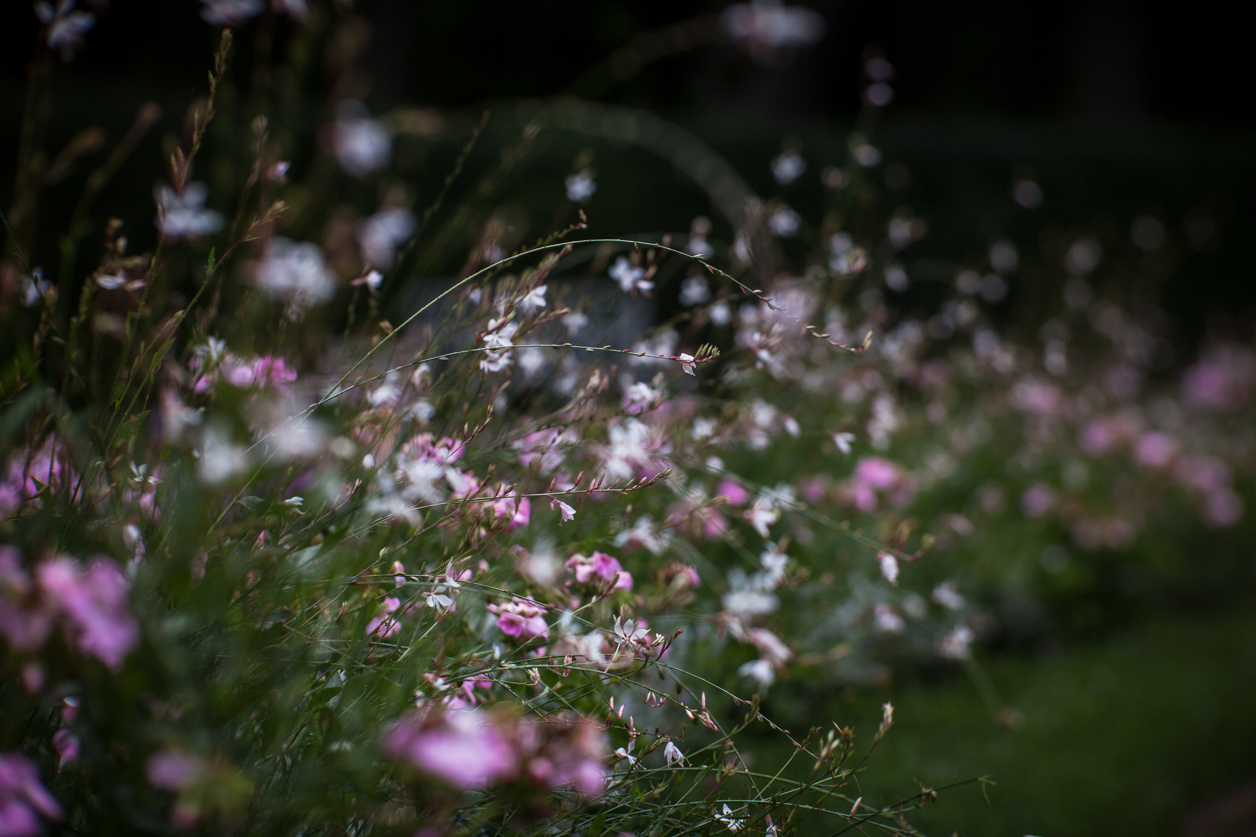 Ландшафтная фотография. Туманов Виталий — фотограф Москва