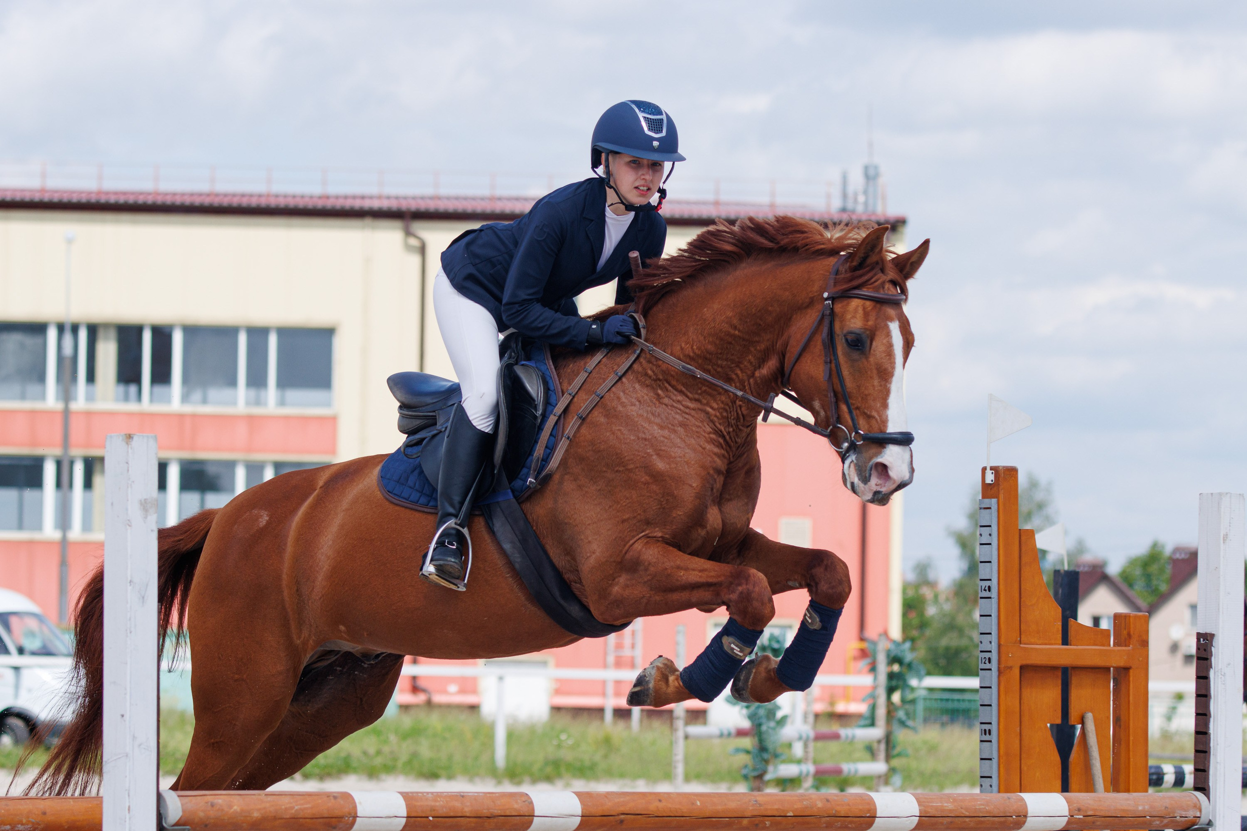 Конный спорт. Спортивный фотограф Вадим Добедченков