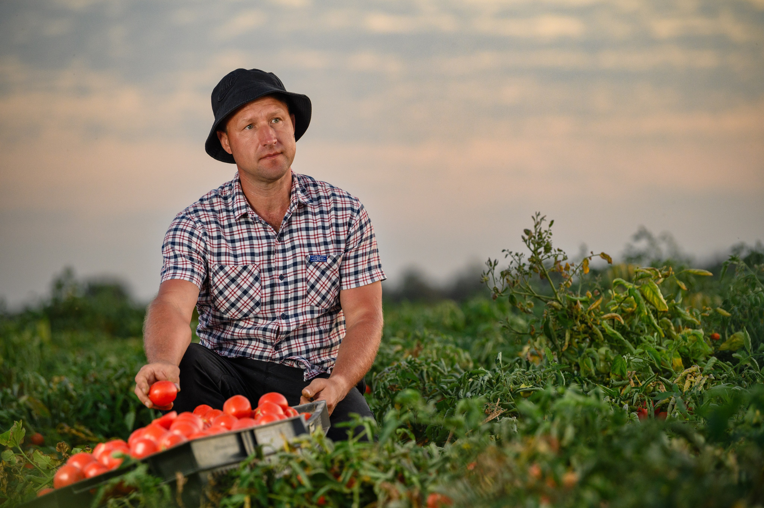 Проекты. Профессиональный фотограф Вячеслав Плацында | Липецк |