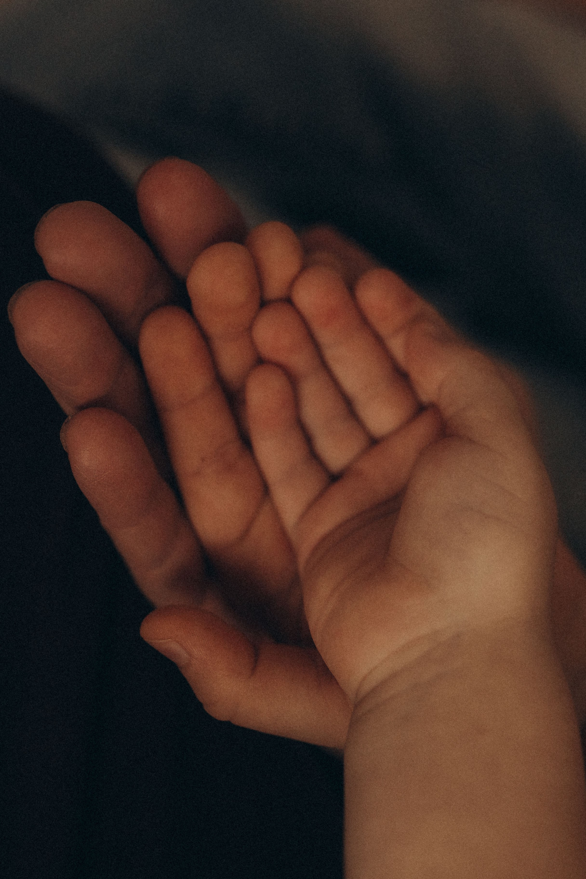 Поколение. Фотограф в Ставрополе Svetlana Matveeva