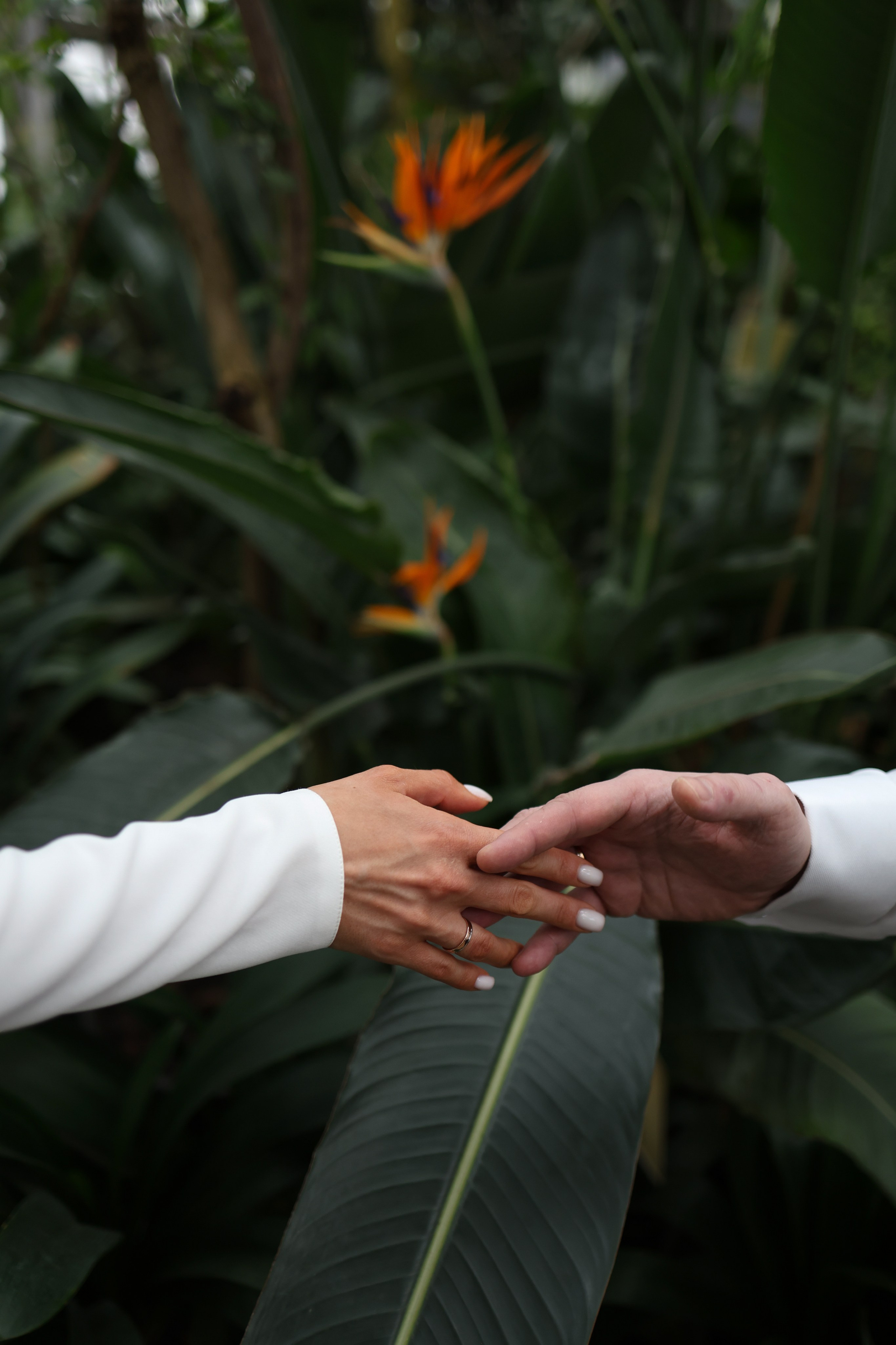 Алексей и Ксения. Фотограф и видеограф в Москве Полина Абраменкова