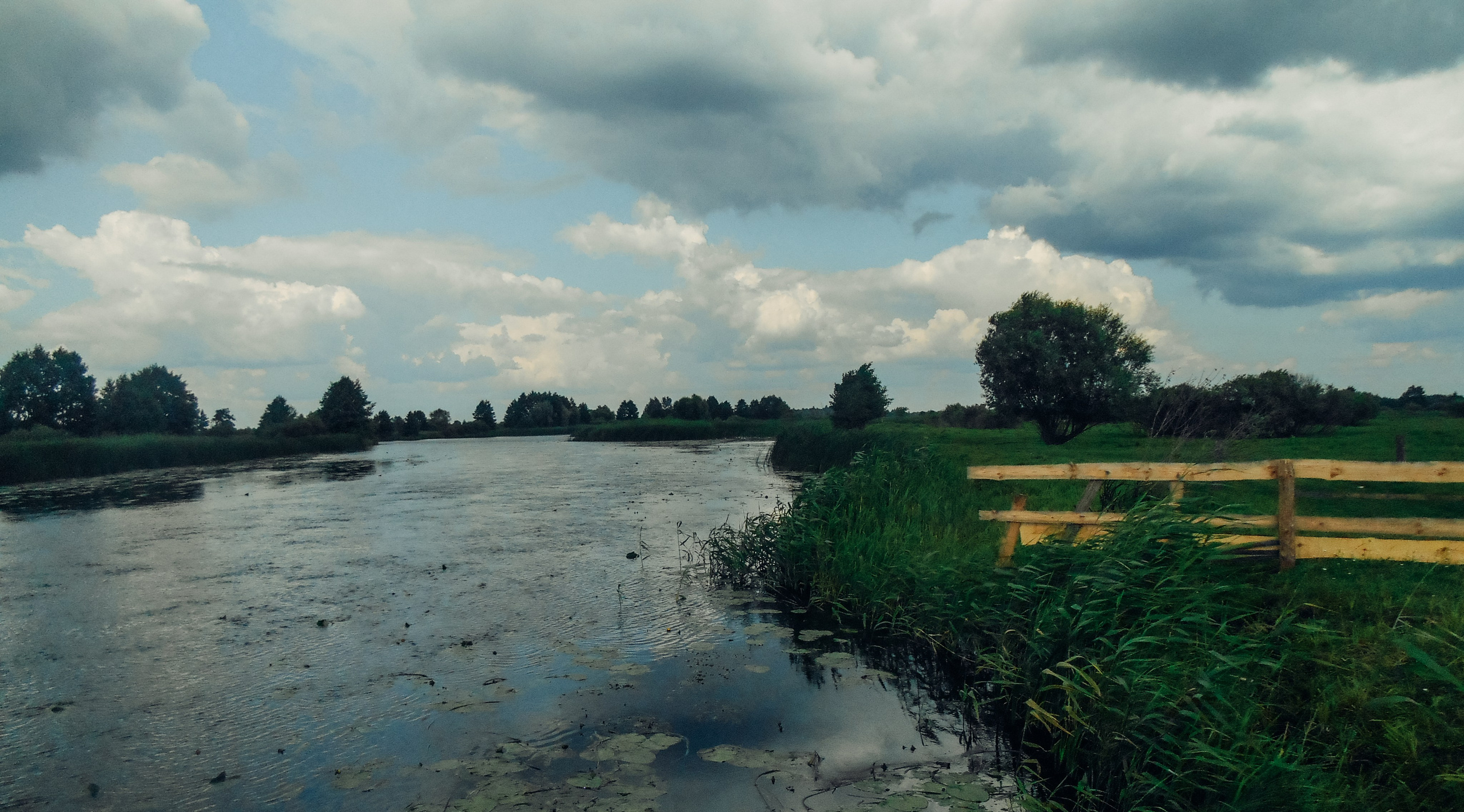 Воронеж. Репортажный и портретный фотограф в Липецкой, Воронежской, Московской области Тёма Белоусов