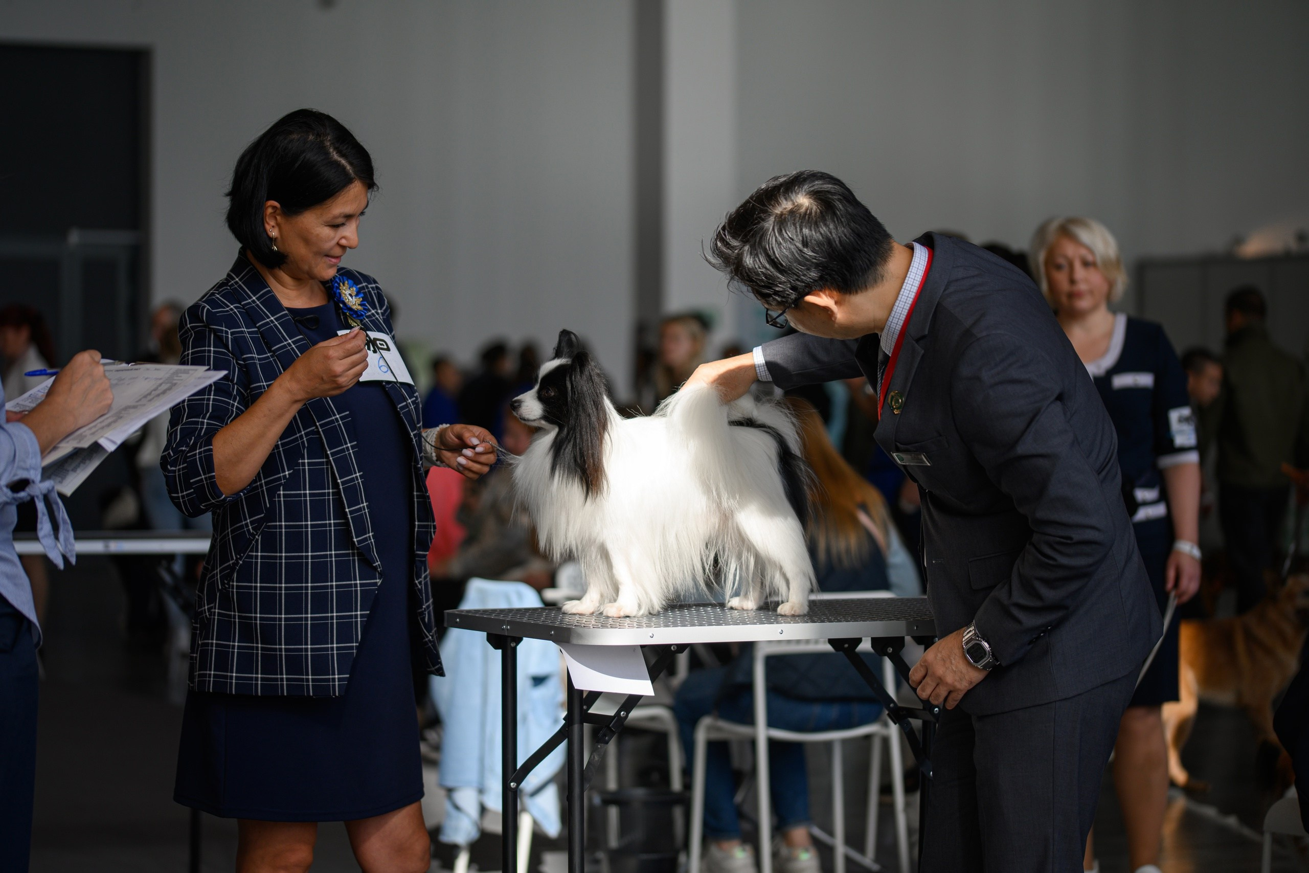 Собаки. FASHION ФОТОГРАФ КАЗАНЬ