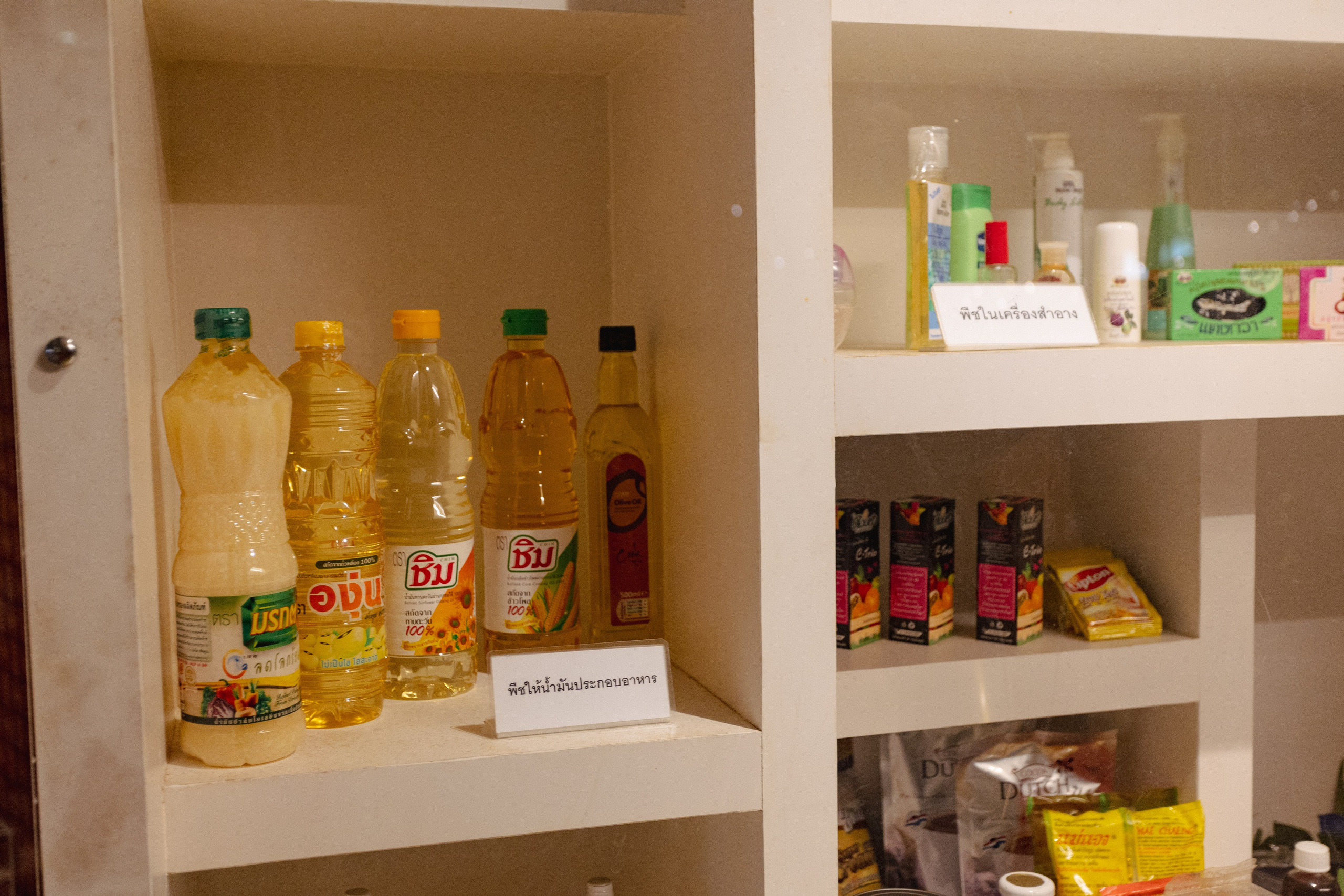 Bangkok Planetarium. Photographer Sonkina Tatiana (Tanya Ash)