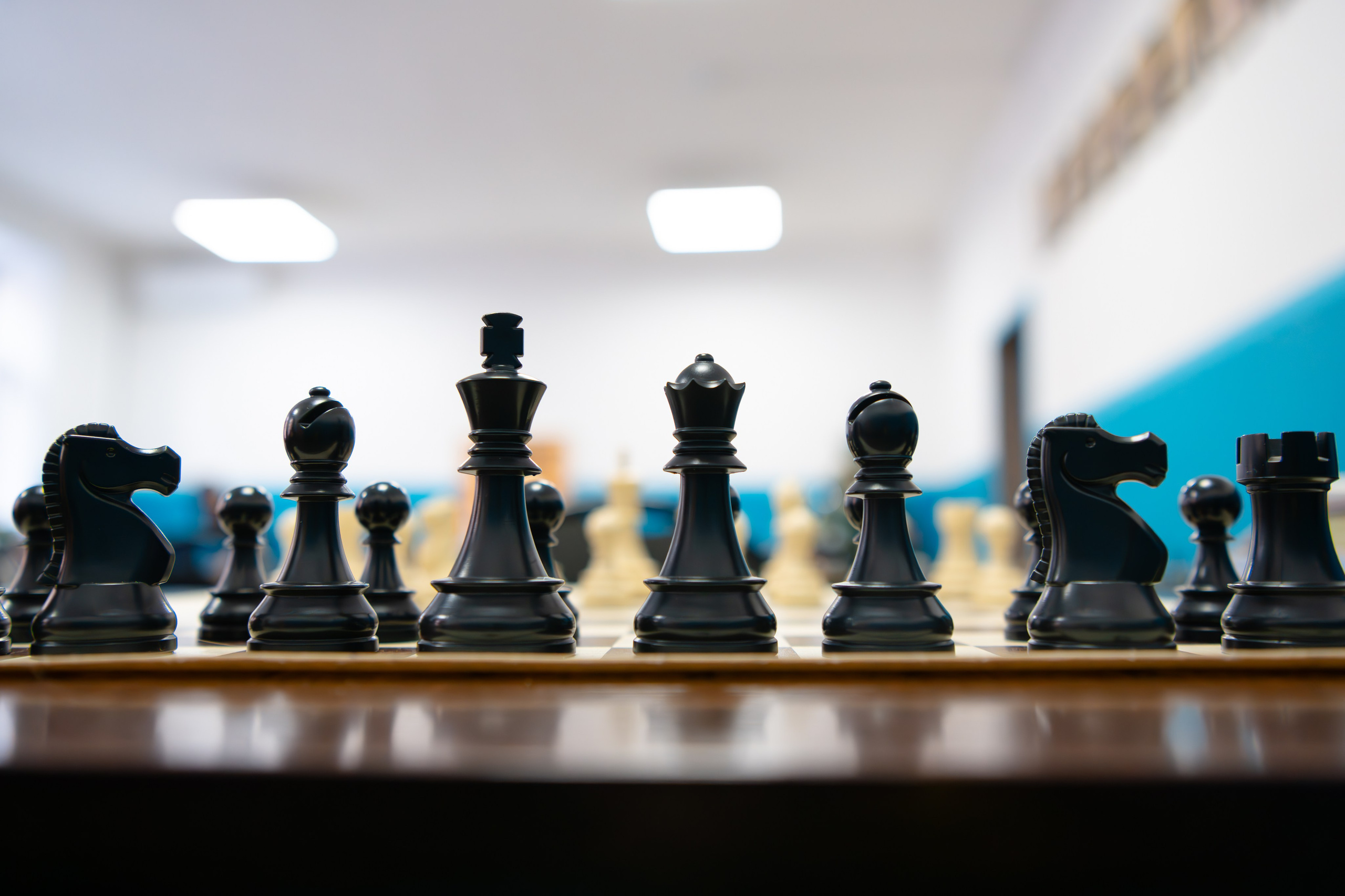 Шахматы. Декабрь 2025. Любимый фотограф