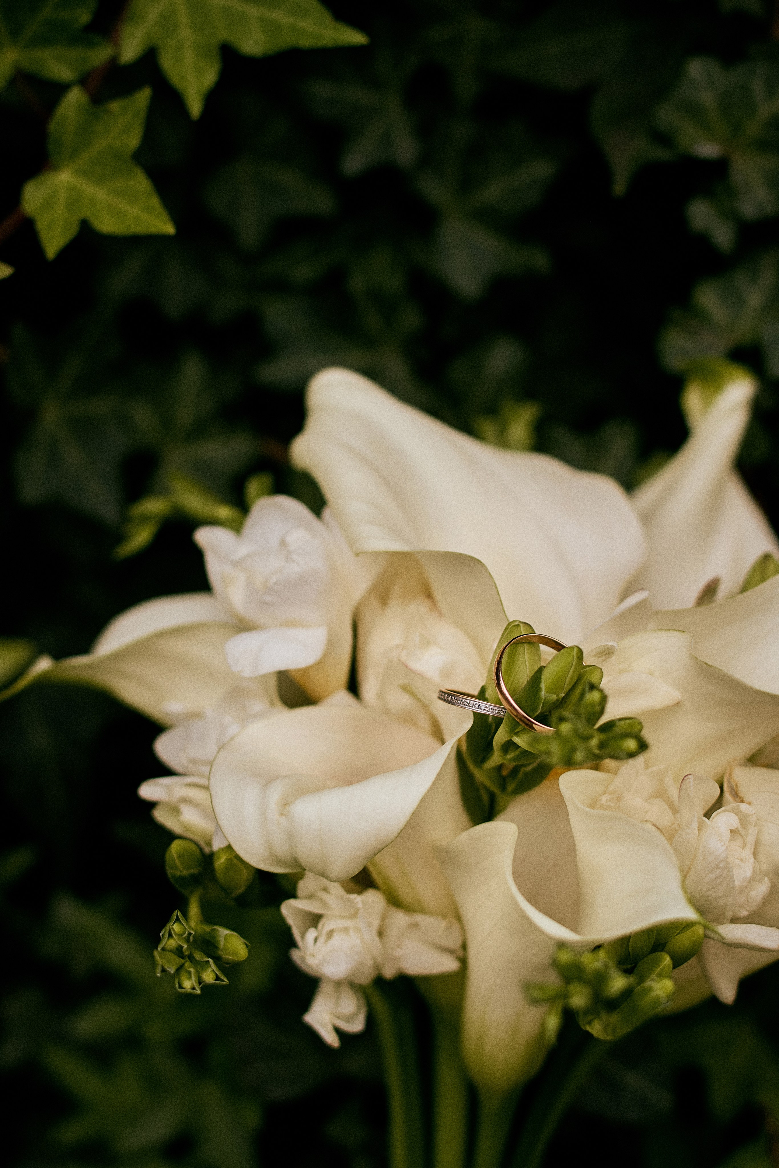 Творили в Таврическом. Свадебный фотограф Анастасия Лахтионова