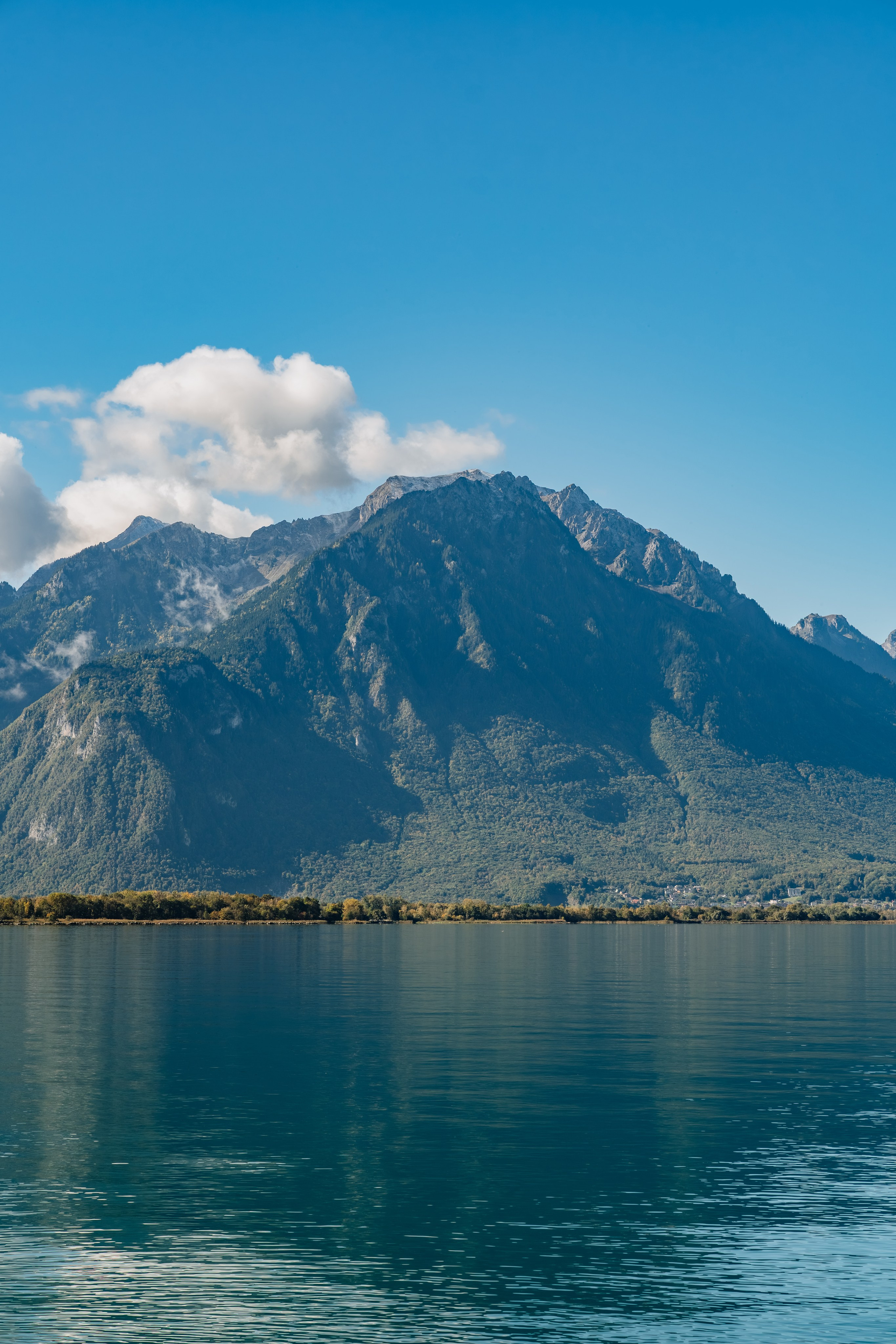 Stephanie & Dominick | Proposal Montreux. Профессиональный свадебный фотограф в Женеве и Швейцарии | Таня Вовчецкая