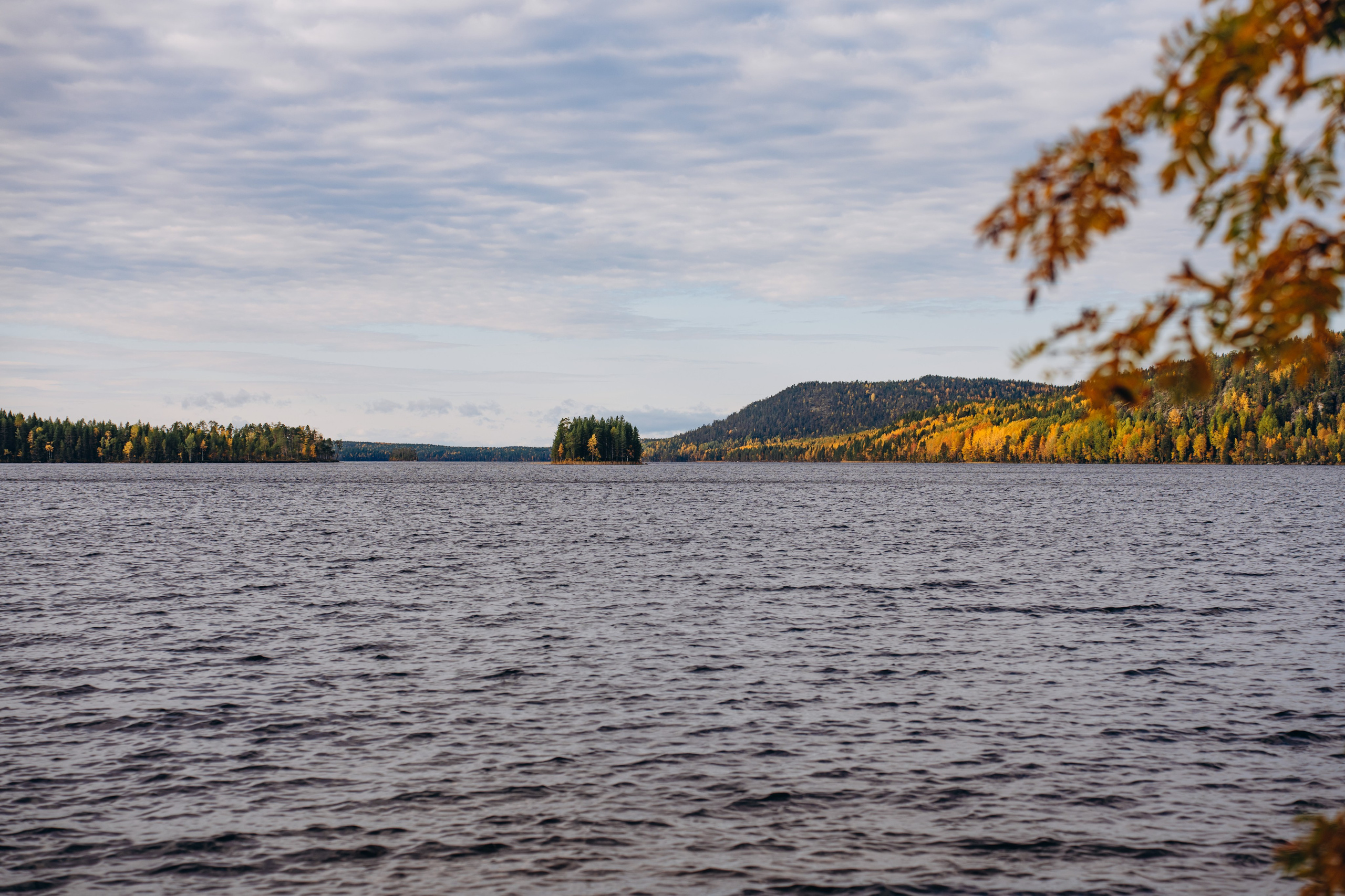 СЕВЕР. Event фотограф Степанова Александра
