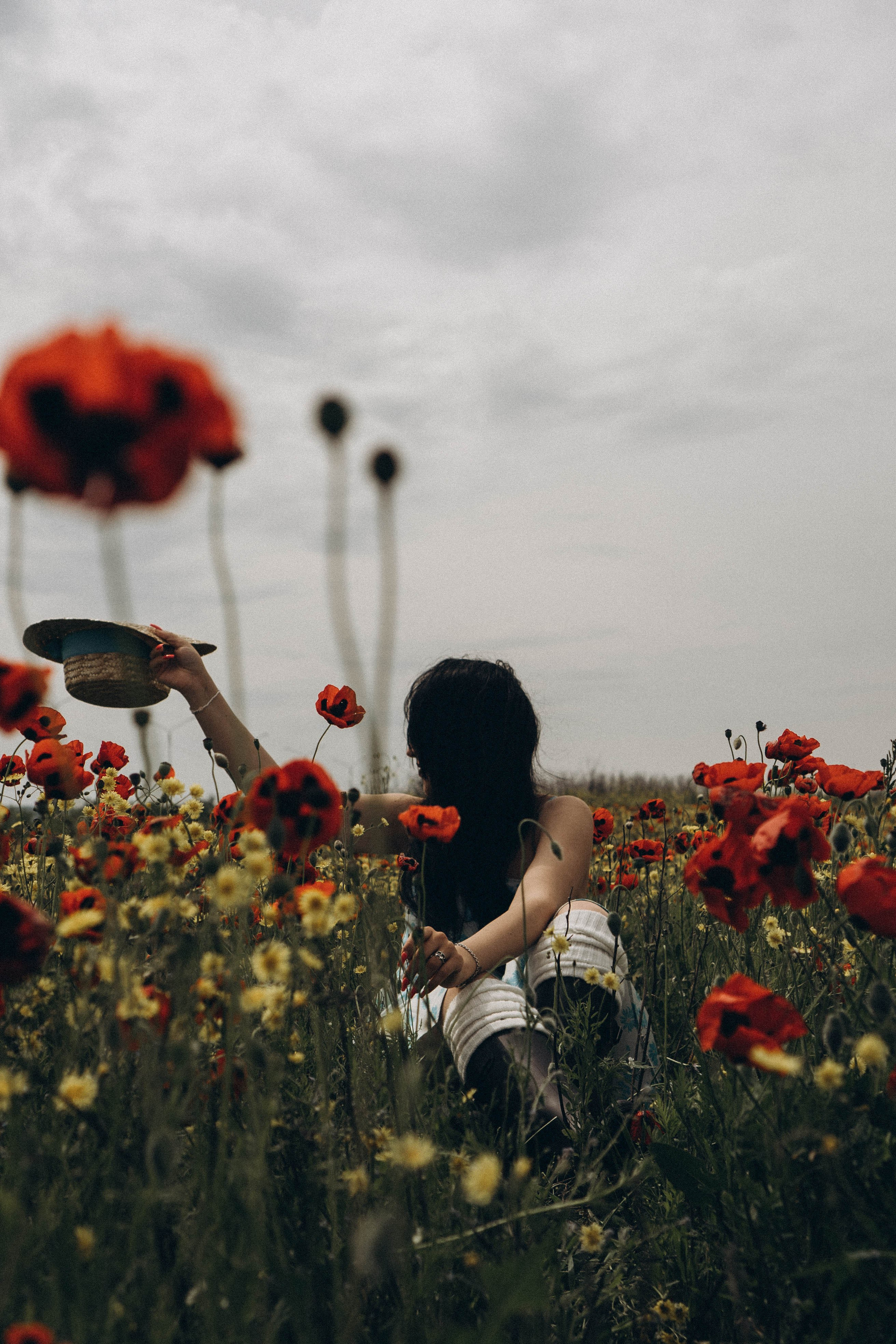 Цветочная поляна. Профессиональный фотограф, Санкт-Петербург — Виктория Богомолова